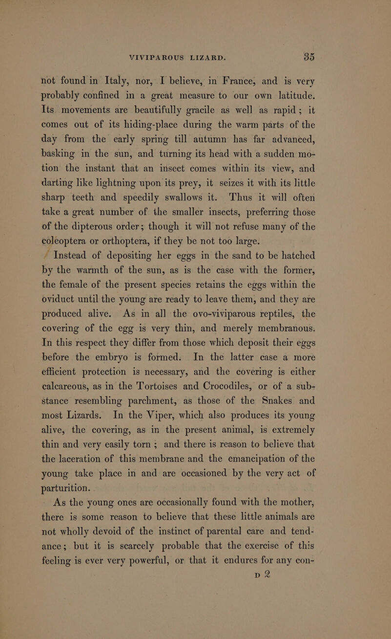 not found in Italy, nor, I believe, in France, and is very probably confined in a great measure to our own latitude. Its. movements are beautifully gracile as well as rapid; it comes out of its hiding-place during the warm parts of the day from the early spring till autumn has far advanced, basking in the sun, and turning its head with a sudden mo- tion the instant that an insect comes within its view, and darting like lightning upon its prey, it seizes it with its little sharp teeth and speedily swallows it. Thus it will often take a great number of the smaller insects, preferring those of the dipterous order; though it will not refuse many of the coleoptera or orthoptera, if they be not too large. / Instead of depositing her eggs in the sand to be hatched by the warmth of the sun, as is the case with the former, the female of the present species retains the eggs within the oviduct until the young are ready to leave them, and they are produced alive. As in all the ovo-viviparous reptiles, the covering of the egg is very thin, and merely membranous. In this respect they differ from those which deposit their eggs before the embryo is formed. In the latter case a more efficient protection is necessary, and the covering is either calcareous, as in the Tortoises and Crocodiles, or of a sub- stance resembling parchment, as those of the Snakes and most Lizards. In the Viper, which also produces its young alive, the covering, as in the present animal, is extremely thin and very easily torn ; and there is reason to believe that the laceration of this membrane and the emancipation of the young take place in and are occasioned by the very act of parturition. As the young ones are occasionally found with the mother, there is some reason to believe that these little animals are not wholly devoid of the instinct of parental care and tend- ance; but it is scarcely probable that the exercise of this feeling is ever very powerful, or that it endures for any con- D2