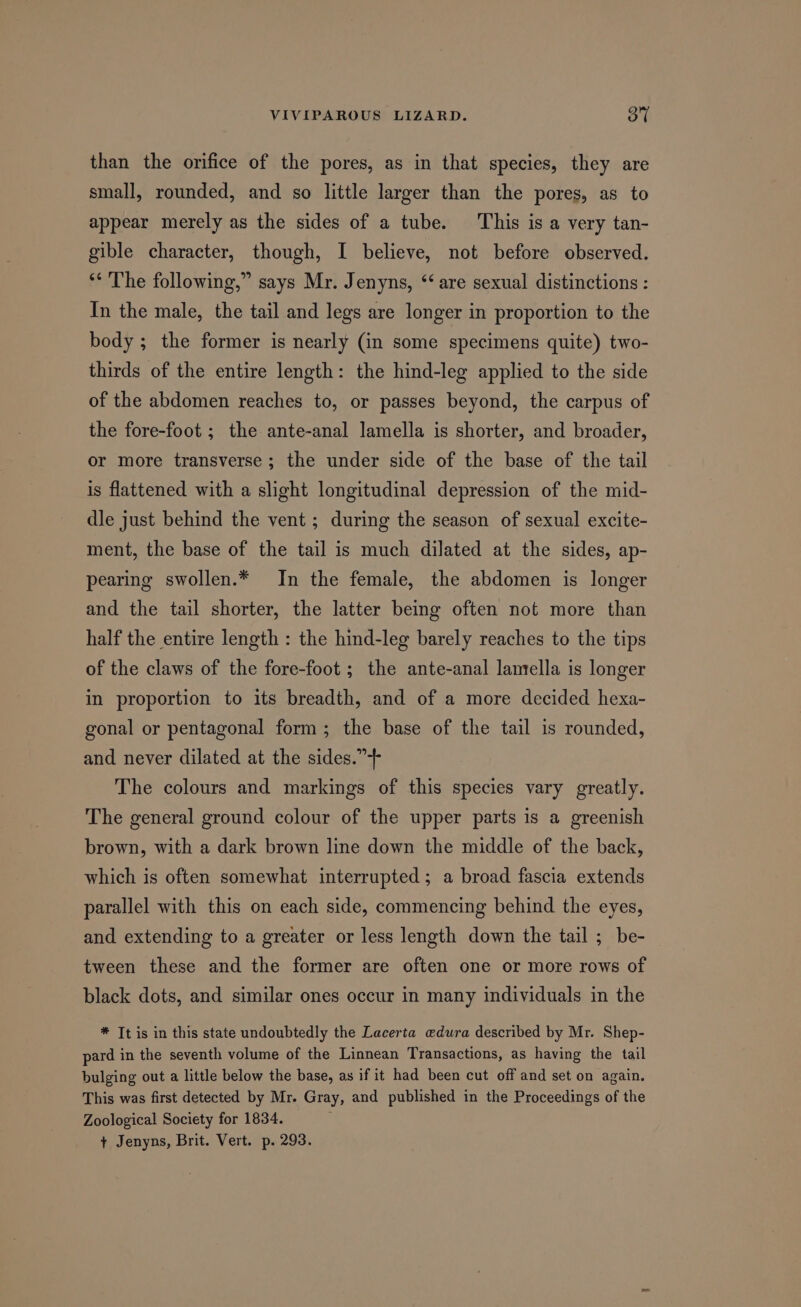 than the orifice of the pores, as in that species, they are small, rounded, and so little larger than the pores, as to appear merely as the sides of a tube. This is a very tan- gible character, though, I believe, not before observed. ‘* The following,” says Mr. Jenyns, ‘are sexual distinctions : In the male, the tail and legs are longer in proportion to the body ; the former is nearly (in some specimens quite) two- thirds of the entire length: the hind-leg applied to the side of the abdomen reaches to, or passes beyond, the carpus of the fore-foot ; the ante-anal lamella is shorter, and broader, or more transverse; the under side of the base of the tail is flattened with a slight longitudinal depression of the mid- dle just behind the vent ; during the season of sexual excite- ment, the base of the tail is much dilated at the sides, ap- pearing swollen.* In the female, the abdomen is longer and the tail shorter, the latter being often not more than half the entire length : the hind-leg barely reaches to the tips of the claws of the fore-foot ; the ante-anal lantella is longer in proportion to its breadth, and of a more decided hexa- gonal or pentagonal form; the base of the tail is rounded, and never dilated at the sides.”-++ The colours and markings of this species vary greatly. The general ground colour of the upper parts is a greenish brown, with a dark brown line down the middle of the back, which is often somewhat interrupted; a broad fascia extends parallel with this on each side, commencing behind the eyes, and extending to a greater or less length down the tail ;_ be- tween these and the former are often one or more rows of black dots, and similar ones occur in many individuals in the * It is in this state undoubtedly the Lacerta edura described by Mr. Shep- pard in the seventh volume of the Linnean Transactions, as having the tail bulging out a little below the base, as if it had been cut off and set on again. This was first detected by Mr. Gray, and published in the Proceedings of the Zoological Society for 1834. + Jenyns, Brit. Vert. p. 293.