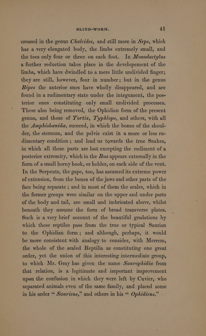 creased in the genus Chalcides, and still more in Seps, which has a very elongated body, the limbs extremely small, and the toes only four or three on each foot. In Monodactylus a further reduction takes place in the developement of the limbs, which have dwindled to a mere little undivided finger; they are still, however, four in number; but in the genus Bipes the anterior ones have wholly disappeared, and are found in a rudimentary state under the integument, the pos- terior ones constituting only small undivided processes. _ These also being removed, the Ophidian form of the present genus, and those of J'ortix, T'yphlops, and others, with all the Amphisbenida, succeed, in which the bones of the shoul- der, the sternum, and the pelvis exist in a more or less ru- dimentary condition ; and lead us towards the true Snakes, in which all these parts are lost excepting the rudiment of a posterior extremity, which in the Boa appears externally in the form of asmall horny hook, or holder, on each side of the vent. In the Serpents, the gape, too, has assumed its extreme power of extension, from the bones of the jaws and other parts of the face being separate ; and in most of them the scales, which in the former groups were similar on the upper and under parts of the body and tail, are smail and imbricated above, whilst beneath they assume the form of broad transverse plates. Such is a very brief account of the beautiful gradations by which these reptiles pass from the true or typical Saurian to the Ophidian form; and although, perhaps, it would be more consistent with analogy to consider, with Merrem, the whole of the scaled Reptilia as constituting one great order, yet the union of this interesting intermediate group, to which Mr. Gray has given the name Saurophidia from that relation, is a legitimate and important improvement upen the confusion in which they were left by Cuvier, who separated animals even of the same family, and placed some in his order “ Saurzens,” and others in his ** Ophidiens.”