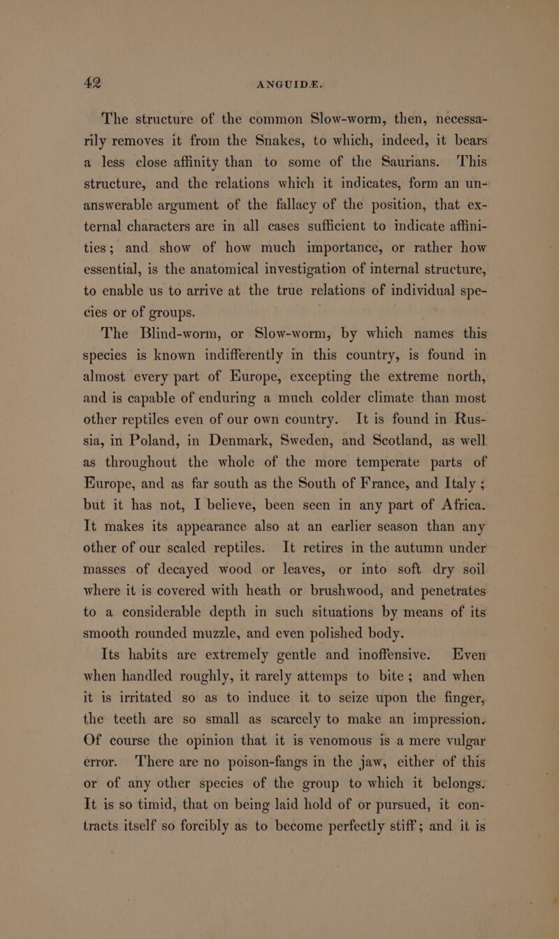 The structure of the common Slow-worm, then, necessa- rily removes it from the Snakes, to which, indeed, it bears a less close affinity than to some of the Saurians. ‘This structure, and the relations which it indicates, form an un- answerable argument. of the fallacy of the position, that ex- ternal characters are in all cases sufficient to indicate affini- ties; and show of how much importance, or rather how essential, is the anatomical investigation of internal structure, to enable us to arrive at the true relations of individual spe- cies or of groups. | The Blind-worm, or Slow-worm, by which names this species is known indifferently in this country, is found in almost every part of Kurope, excepting the extreme north, and is capable of enduring a much colder climate than most other reptiles even of our own country. It is found in Rus- sia, in Poland, in Denmark, Sweden, and Scotland, as well as throughout the whole of the more temperate parts of HKurope, and as far south as the South of France, and Italy ; but it has not, I believe, been seen in any part of Africa. It makes its appearance also at an earlier season than any other of our scaled reptiles. It retires in the autumn under masses of decayed wood or leaves, or into soft dry soil where it is covered with heath or brushwood, and penetrates to a considerable depth in such situations by means of its smooth rounded muzzle, and even polished body. Its habits are extremely gentle and inoffensive. Even when handled roughly, it rarely attemps to bite; and when it is irritated so as to induce it to seize upon the finger, the teeth are so small as scarcely to make an impression. Of course the opinion that it is venomous is a mere vulgar error. ‘There are no poison-fangs in the jaw, either of this or of any other species of the group to which it belongs. It is so timid, that on being laid hold of or pursued, it con- tracts itself so forcibly as to become perfectly stiff; and it is