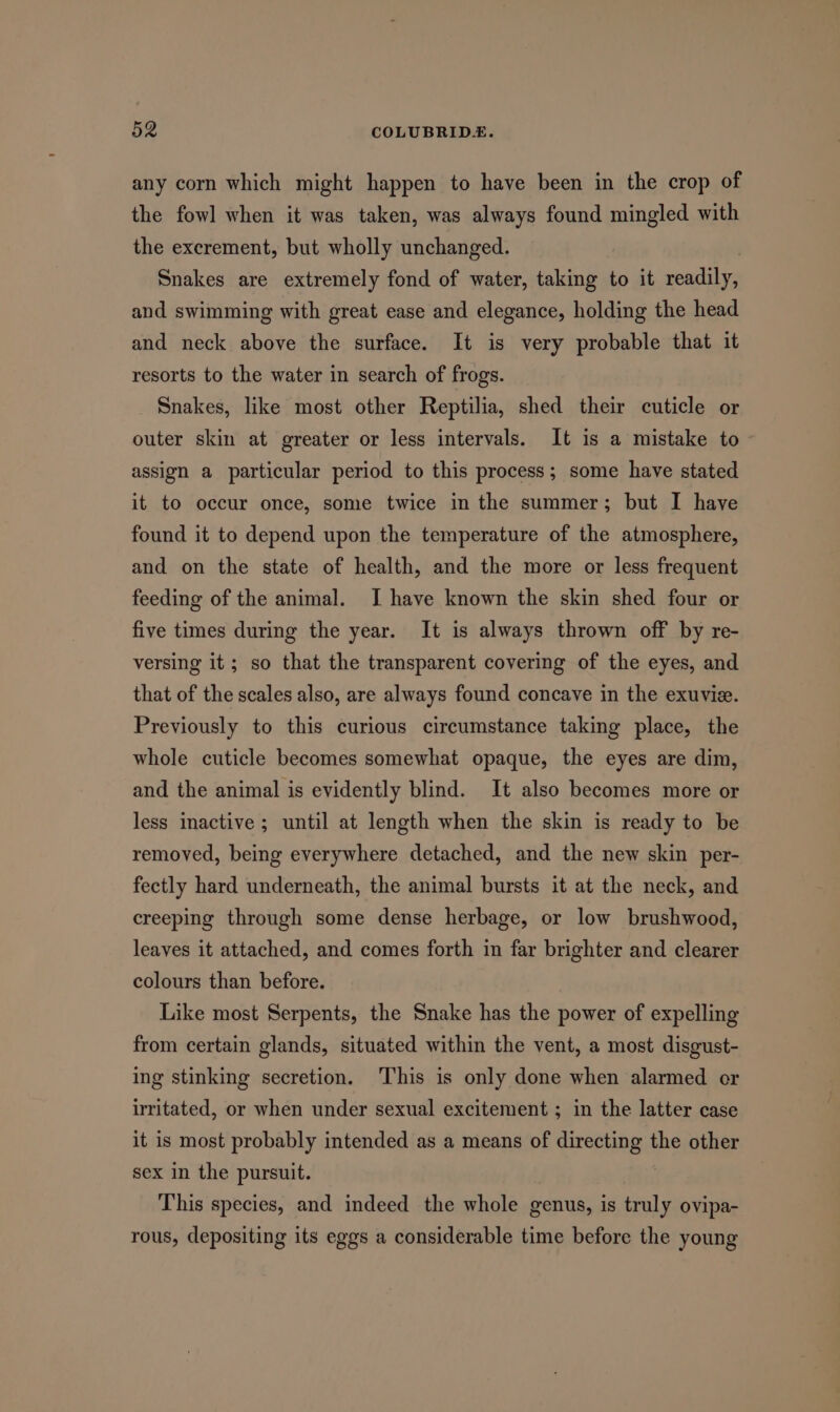 any corn which might happen to have been in the crop of the fowl when it was taken, was always found mingled with the excrement, but wholly unchanged. Snakes are extremely fond of water, taking to it readily, and swimming with great ease and elegance, holding the head and neck above the surface. It is very probable that it resorts to the water in search of frogs. Snakes, like most other Reptilia, shed their cuticle or outer skin at greater or less intervals. It is a mistake to assign a particular period to this process; some have stated it to occur once, some twice in the summer; but I have found it to depend upon the temperature of the atmosphere, and on the state of health, and the more or less frequent feeding of the animal. I have known the skin shed four or five times during the year. It is always thrown off by re- versing it; so that the transparent covering of the eyes, and that of the scales also, are always found concave in the exuvie. Previously to this curious circumstance taking place, the whole cuticle becomes somewhat opaque, the eyes are dim, and the animal is evidently blind. It also becomes more or less inactive ; until at length when the skin is ready to be removed, being everywhere detached, and the new skin per- fectly hard underneath, the animal bursts it at the neck, and creeping through some dense herbage, or low brushwood, leaves it attached, and comes forth in far brighter and clearer colours than before. Like most Serpents, the Snake has the power of expelling from certain glands, situated within the vent, a most disgust- ing stinking secretion. This is only done when alarmed or irritated, or when under sexual excitement ; in the latter case it is most probably intended as a means of directing Ms other sex in the pursuit. : This species, and indeed the whole genus, is truly ovipa- rous, depositing its eggs a considerable time before the young