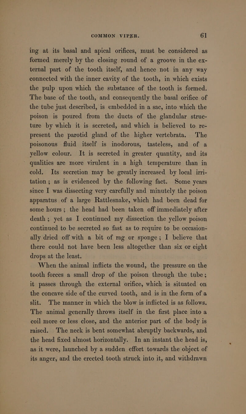 ing at its basal and apical orifices, must be considered as formed merely by the closing round of a groove in the ex- ternal part of the tooth itself, and hence not in any way connected with the inner cavity of the tooth, in which exists the pulp upon which the substance of the tooth is formed. The base of the tooth, and consequently the basal orifice of the tube just described, is embedded in a sac, into which the poison is poured from the ducts of the glandular struc- ture by which it is secreted, and which is believed to re- present the parotid gland of the higher vertebrata. The poisonous fluid itself is inodorous, tasteless, and of a yellow colour. It is secreted in greater quantity, and its ~ qualities are more virulent in a high temperature than in cold. Its secretion may be greatly increased by local irri- tation ; as is evidenced by the following fact. Some years since I was dissecting very carefully and minutely the poison apparatus of a large Rattlesnake, which had been dead for some hours; the head had been taken off immediately after death ; yet as I continued my dissection the yellow poison continued to be secreted so fast as to require to be occasion- ally dried off with a bit of rag or sponge; I believe that there could not have been less altogether than six or eight drops at the least. When the animal inflicts the wound, the pressure on the tooth forces a small drop of the poison through the tube; it passes through the external orifice, which is situated on the concave side of the curved tooth, and is in the form ofa slit. The manner in which the blow is inflicted is as follows. The animal generally throws itself in the first place into a coil more or less close, and the anterior part of the body is raised. The neck is bent somewhat abruptly backwards, and the head fixed almost horizontally. In an instant the head is, as it were, launched by a sudden effort towards the object of its anger, and the erected tooth struck into it, and withdrawn