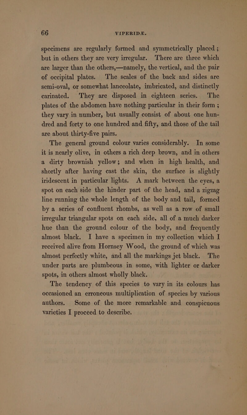specimens are regularly formed and symmetrically placed ; but in others they are very irregular. There are three which are larger than the others,—namely, the vertical, and the pair of occipital plates. The scales of the back and sides are semi-oval, or somewhat lanceolate, imbricated, and distinctly carinated. They are disposed in eighteen series. ‘The plates of the abdomen have nothing particular in their form ; they vary in number, but usually consist of about one hun- dred and forty to one hundred and fifty, and those of the tail are about thirty-five pairs. The general ground colour varies considerably. In some it is nearly olive, in others a rich deep brown, and in others a dirty brownish yellow; and when in high health, and shortly after having cast the skin, the surface is slightly iridescent in particular lights. A mark between the eyes, a spot on each side the hinder part of the head, and a zigzag line running the whole length of the body and tail, formed by a series of confluent rhombs, as well as a row of small irregular triangular spots on each side, all of a much darker hue than the ground colour of the body, and frequently almost black. JI have a specimen in my collection which I received alive from Hornsey Wood, the ground of which was almost perfectly white, and all the markings jet black. ‘The under parts are plumbeous in some, with lighter or darker spots, in others almost wholly black. The tendency of this species to vary in its colours has occasioned an erroneous multiplication of species by various authors. Some of the more remarkable and conspicuous varieties I proceed to describe.