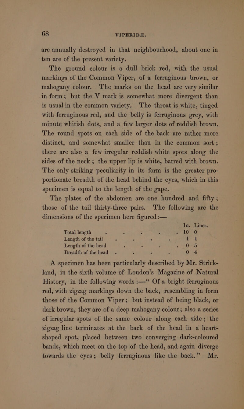 are annually destroyed in that neighbourhood, about one in ten are of the present varicty. The ground colour is a dull cael red, with the usual markings of the Common Viper, of a ferruginous brown, or mahogany colour. The marks on the head are very similar in form; but the V mark is somewhat more divergent than is usual in the common variety. The throat is white, tinged with ferruginous red, and the belly is ferruginous grey, with minute whitish dots, and a few larger dots of reddish brown. The round spots on each side of the back are rather more distinct, and somewhat smaller than in the common sort ; there are also a few irregular reddish white spots along the sides of the neck ; the upper lip is white, barred with brown. The only striking peculiarity in its form is the greater pro- portionate breadth of the head behind the eyes, which in this specimen is equal to the length of the gape. The plates of the abdomen are one hundred and fifty ; those of the tail thirty-three pairs. 'The following are the dimensions of the specimen here figured :— In. Lines Total length . : : 2 10 0 Length of the tail . . . , oat Length of the head , . : £ COPS Breadth of the head. . : 0 4 A specimen has been sanealcay's described by Mr. Strick- land, in the sixth volume of Loudon’s Magazine of Natural History, in the following words :—‘ Of a bright ferruginous red, with zigzag markings down the back, resembling in form those of the Common Viper; but instead of being black, or dark brown, they are of a deep mahogany colour; also a series of irregular spots of the same colour along each side; the zigzag line terminates at the back of the head in a heart- shaped spot, placed between two converging dark-coloured bands, which meet on the top of the head, and again diverge towards the eyes; belly ferruginous like the back.” Mr.