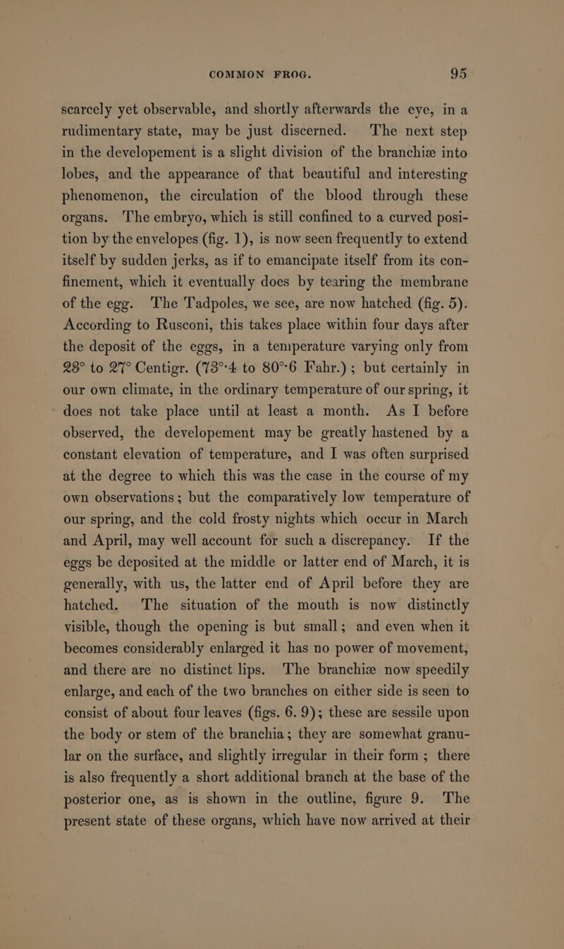 scarcely yet observable, and shortly afterwards the eye, ina rudimentary state, may be just discerned. The next step in the developement is a slight division of the branchie into lobes, and the appearance of that beautiful and interesting phenomenon, the circulation of the blood through these organs. The embryo, which is still confined to a curved posi- tion by the envelopes (fig. 1), is now seen frequently to extend itself by sudden jerks, as if to emancipate itself from its con- finement, which it eventually does by tearing the membrane of the egg. The Tadpoles, we see, are now hatched (fig. 5). According to Rusconi, this takes place within four days after the deposit of the eggs, in a temperature varying only from 28° to 27° Centigr. (73°°4 to 80°°6 Kahr.) ; but certainly in our own climate, in the ordinary temperature of our spring, it - does not take place until at least a month. As I before observed, the developement may be greatly hastened by a constant elevation of temperature, and I was often surprised at the degree to which this was the case in the course of my own observations; but the comparatively low temperature of our spring, and the cold frosty nights which occur in March and April, may well account for such a discrepancy. If the egos be deposited at the middle or latter end of March, it is generally, with us, the latter end of April before they are hatched. The situation of the mouth is now distinctly visible, though the opening is but small; and even when it becomes considerably enlarged it has no power of movement, and there are no distinct lips. The branchiz now speedily enlarge, and each of the two branches on either side is seen to consist of about four leaves (figs. 6.9); these are sessile upon the body or stem of the branchia; they are somewhat granu- lar on the surface, and slightly irregular in their form ; there is also frequently a short additional branch at the base of the posterior one, as is shown in the outline, figure 9. The present state of these organs, which have now arrived at their
