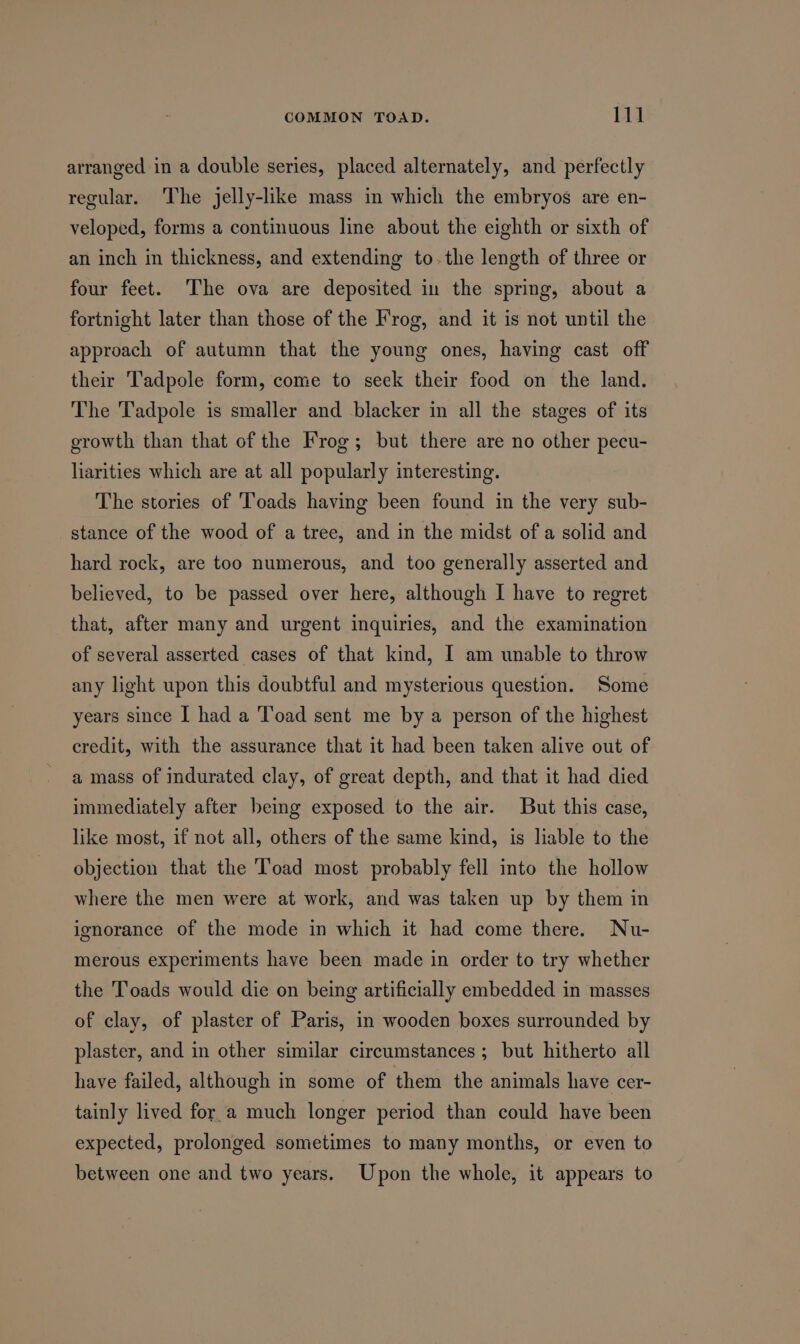 arranged in a double series, placed alternately, and perfectly regular. The jelly-like mass in which the embryos are en- veloped, forms a continuous line about the eighth or sixth of an inch in thickness, and extending to-the length of three or four feet. The ova are deposited in the spring, about a fortnight later than those of the Frog, and it is not until the approach of autumn that the young ones, having cast off their Tadpole form, come to seek their food on the land. The Tadpole is smaller and blacker in all the stages of its growth than that of the Frog; but there are no other pecu- liarities which are at all popularly interesting. The stories of ‘Toads having been found in the very sub- stance of the wood of a tree, and in the midst of a solid and hard rock, are too numerous, and too generally asserted and believed, to be passed over here, although I have to regret that, after many and urgent inquiries, and the examination of several asserted cases of that kind, I am unable to throw any light upon this doubtful and mysterious question. Some years since I had a Toad sent me by a person of the highest credit, with the assurance that it had been taken alive out of a mass of indurated clay, of great depth, and that it had died immediately after being exposed to the air. But this case, like most, if not all, others of the same kind, is liable to the objection that the Toad most probably fell into the hollow where the men were at work, and was taken up by them in ignorance of the mode in which it had come there. Nu- merous experiments have been made in order to try whether the Toads would die on being artificially embedded in masses of clay, of plaster of Paris, in wooden boxes surrounded by plaster, and in other similar circumstances ; but hitherto all have failed, although in some of them the animals have cer- tainly lived for a much longer period than could have been expected, prolonged sometimes to many months, or even to between one and two years. Upon the whole, it appears to