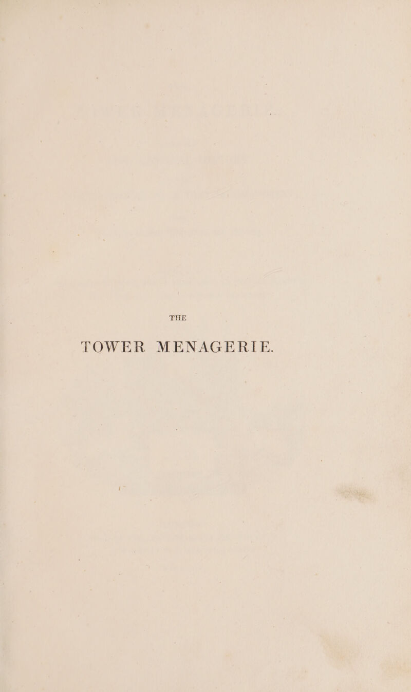 THE TOWER MENAGERLE.