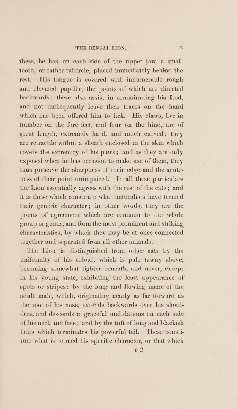 these, he has, on each side of the upper jaw, a small tooth, or rather tubercle, placed immediately behind the rest. His tongue is covered with innumerable rough and elevated papille, the points of which are directed backwards: these also assist in comminuting his food, and not unfrequently leave their traces on the hand which has been offered him to lick. His claws, five in number on the fore feet, and four on the hind, are of great length, extremely hard, and much curved; they are retractile within a sheath enclosed in the skin which covers the extremity of his paws; and as they are only exposed when he has occasion to make use of them, they thus preserve the sharpness of their edge and the acute- ness of their point unimpaired. In all these particulars the Lion essentially agrees with the rest of the cats; and it is these which constitute what naturalists have termed their generic character; in other words, they are the poimts of agreement which are common to the whole group or genus, and form the most prominent and striking characteristics, by which they may be at once connected together and separated from all other animals. The Lion is distinguished from other cats. by the uniformity of his colour, which is pale tawny above, becoming somewhat lighter beneath, and never, except in his young state, exhibiting the least appearance of spots or stripes: by the long and flowing mane of the adult male, which, originating nearly as far forward as the root of his nose, extends backwards over his shoul- ders, and descends in graceful undulations on each side of his neck and face; and by the tuft of long and blackish hairs which terminates his powerful tail. These consti- tute what is termed his specific character, or that which B2 Fo