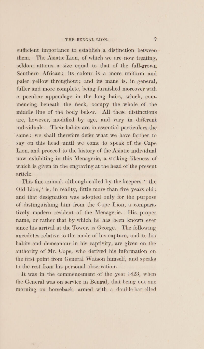 sufficient importance to establish a distinction between them. The Asiatic Lion, of which we are now treating, seldom attains a size equal to that of the full-grown Southern African; its colour is a more uniform and paler yellow throughout; and its mane is, in general, fuller and more complete, being furnished moreover with a peculiar appendage in the long hairs, which, com- mencing beneath the neck, occupy the whole of the middle line of the body below. All these distinctions are, however, modified by age, and vary in different individuals. Their habits are in essential particulars the “same: we shall therefore defer what we have farther to say on this head until we come to speak of the Cape Lion, and proceed to the history of the Asiatic individual now exhibiting in this Menagerie, a striking likeness of which is given in the engraving at the head of the present article. This fine animal, although called by the keepers “ the Old Lion,” is, in reality, little more than five years old ; and that designation was adopted only for the purpose of distinguishing him from the Cape Lion, a compara- tively modern resident of the Menagerie. His proper name, or rather that by which he has been known ever since his arrival at the Tower, is George. The following anecdotes relative to the mode of his capture, and to his habits and demeanour in his captivity, are given on the authority of Mr. Cops, who derived his information on the first point from General Watson himself, and speaks to the rest from his personal observation. It was in the commencement of the year 1823, when the General was on service in Bengal, that being out one morning on horseback, armed with a double-barrelled