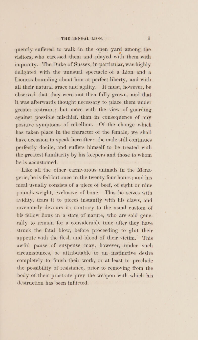 quently suffered to walk in the open yard among the visitors, who caressed them and played with them with impunity. The Duke of Sussex, in particular, was highly delighted with the unusual spectacle of a Lion and a Lioness bounding about him at perfect liberty, and with all their natural grace and agility. It must, however, be observed that they were not then fully grown, and that it was afterwards thought necessary to place them under greater restraint; but more with the view of guarding against possible mischief, than in consequence of any positive symptoms of rebellion. Of the change which has taken place in the character of the female, we shall have occasion to speak hereafter: the male still continues perfectly docile, and suffers himself to be treated with the greatest familiarity by his keepers and those to whom he is accustomed. Like all the other carnivorous animals in the Mena- gerie, he is fed but once in the twenty-four hours ; and his meal usually consists of a piece of beef, of eight or nine pounds weight, exclusive of bone. This he seizes with avidity, tears it to pieces instantly with his claws, and ravenously devours it; contrary to the usual custom of his fellow lions in a state of nature, who are said gene- rally to remain for a considerable time after they have struck the fatal blow, before proceeding to glut their appetite with the flesh and blood of their victim. This awful pause of suspense may, however, under such circumstances, be attributable to an instinctive desire completely to finish their work, or at least to preclude the possibility of resistance, prior to removing from the body of. their prostrate prey the weapon with which his destruction has been inflicted.