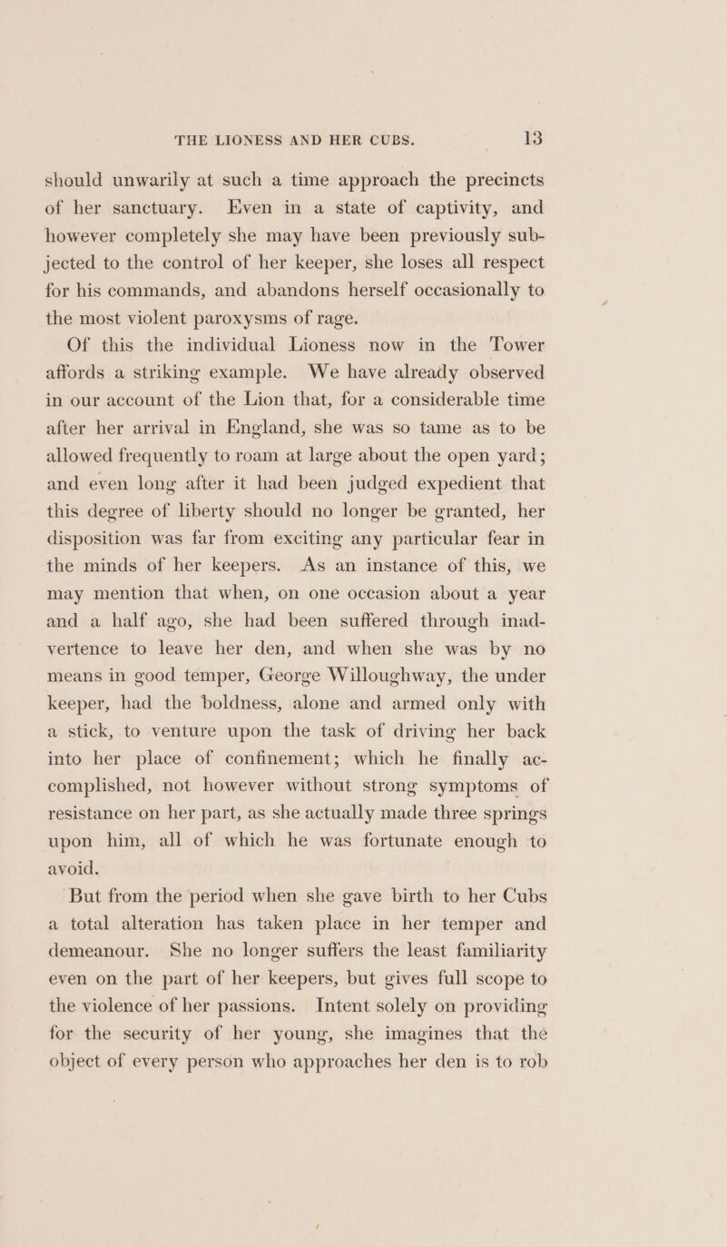 should unwarily at such a time approach the precincts of her sanctuary. Even in a state of captivity, and however completely she may have been previously sub- jected to the control of her keeper, she loses all respect for his commands, and abandons herself occasionally to the most violent paroxysms of rage. Of this the individual Lioness now in the Tower affords a striking example. We have already observed in our account of the Lion that, for a considerable time after her arrival in England, she was so tame as to be allowed frequently to roam at large about the open yard; and even long after it had been judged expedient that this degree of liberty should no longer be granted, her disposition was far from exciting any particular fear in the minds of her keepers. As an instance of this, we may mention that when, on one occasion about a year and a half ago, she had been suffered through inad- vertence to leave her den, and when she was by no means in good temper, George Willoughway, the under keeper, had the boldness, alone and armed only with a stick, to venture upon the task of driving her back into her place of confinement; which he finally ac- complished, not however without strong symptoms of resistance on her part, as she actually made three springs upon him, all of which he was fortunate enough ‘to avoid. But from the period when she gave birth to her Cubs a total alteration has taken place in her temper and demeanour. She no longer suffers the least familiarity even on the part of her keepers, but gives full scope to the violence of her passions. Intent solely on providing for the security of her young, she imagines that the object of every person who approaches her den is to rob