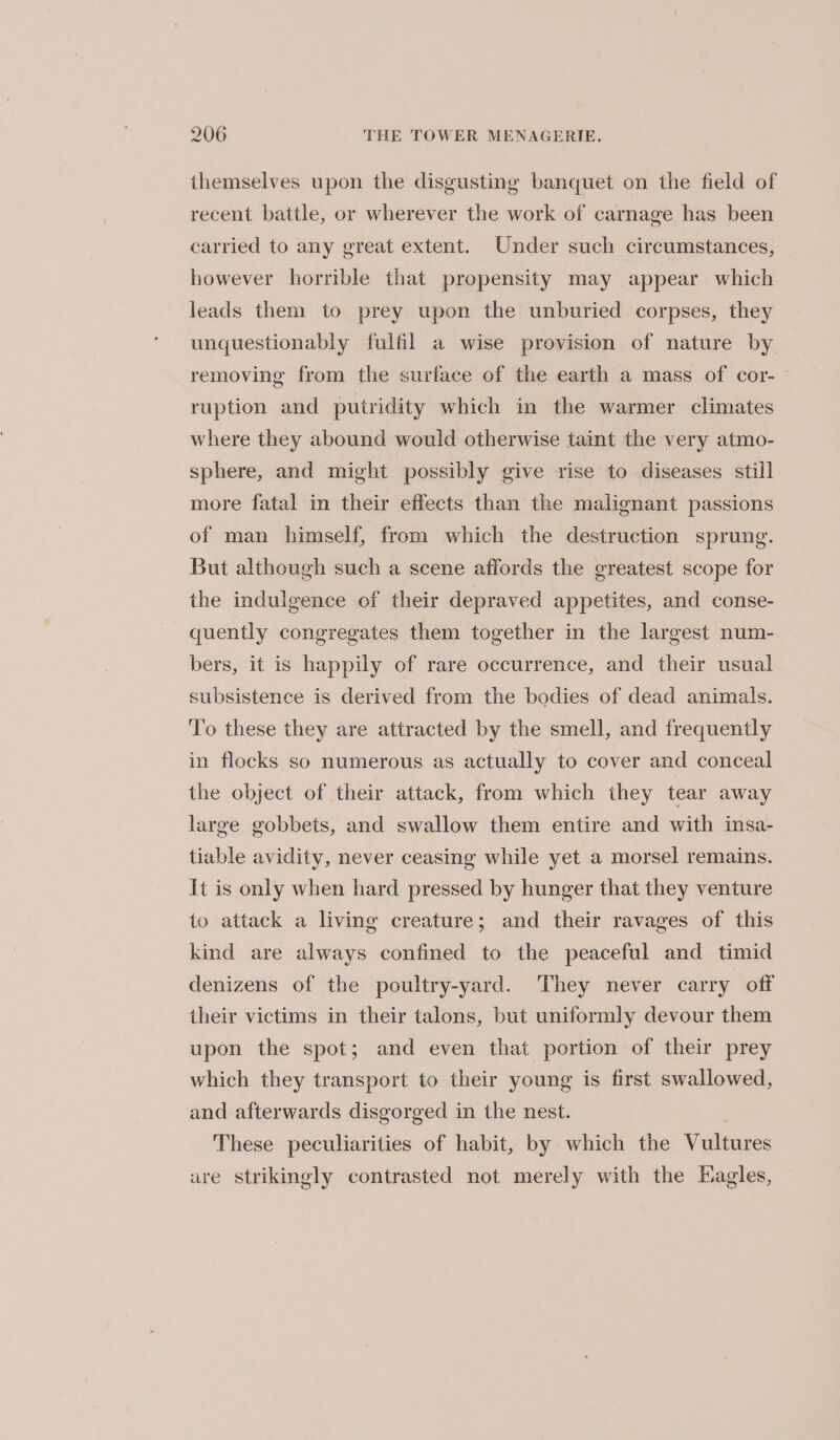 themselves upon the disgusting banquet on the field of recent battle, or wherever the work of carnage has been carried to any great extent. Under such circumstances, however horrible that propensity may appear which leads them to prey upon the unburied corpses, they unquestionably fulfil a wise provision of nature by removing from the surface of the earth a mass of cor- ruption and putridity which in the warmer climates where they abound would otherwise taint the very atmo- sphere, and might possibly give rise to diseases still more fatal in their effects than the malignant passions of man himself, from which the destruction sprung. But although such a scene affords the greatest scope for the indulgence of their depraved appetites, and conse- quently congregates them together in the largest num- bers, it is happily of rare occurrence, and their usual subsistence is derived from the bodies of dead animals. To these they are attracted by the smell, and frequently in flocks so numerous as actually to cover and conceal the object of their attack, from which they tear away large gobbets, and swallow them entire and with insa- tiable avidity, never ceasing while yet a morsel remains. It is only when hard pressed by hunger that they venture to attack a living creature; and their ravages of this kind are always confined to the peaceful and timid denizens of the poultry-yard. They never carry off their victims in their talons, but uniformly devour them upon the spot; and even that portion of their prey which they transport to their young is first swallowed, and afterwards disgorged in the nest. These peculiarities of habit, by which the Vultures are strikingly contrasted not merely with the Hagles,