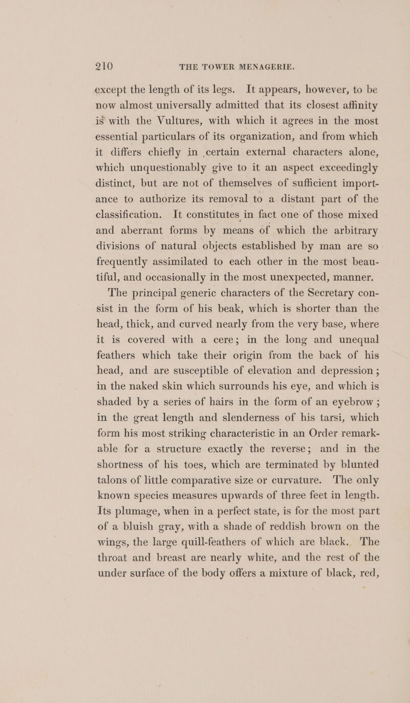 except the length of its legs. It appears, however, to be now almost universally admitted that its closest affinity is with the Vultures, with which it agrees in the most essential particulars of its organization, and from which it differs chiefly in .certain external characters alone, which unquestionably give to it an aspect exceedingly distinct, but are not of themselves of sufficient import- ance to authorize its removal to a distant part of the classification. It constitutes in fact one of those mixed and aberrant forms by means of which the arbitrary divisions of natural objects established by man are so. frequently assimilated to each other in the most beau- tiful, and occasionally in the most unexpected, manner. The principal generic characters of the Secretary con- sist in the form of his beak, which is shorter than the head, thick, and curved nearly from the very base, where it is covered with a cere; in the long and unequal feathers which take their origin from the back of his head, and are susceptible of elevation and depression ; in the naked skin which surrounds his eye, and which is shaded by a series of hairs in the form of an eyebrow ; in the great length and slenderness of his tarsi, which form his most striking characteristic in an Order remark- able for a structure exactly the reverse; and in the shortness of his toes, which are terminated by blunted talons of little comparative size or curvature. The only known species measures upwards of three feet in length. Its plumage, when in a perfect state, is for the most part of a bluish gray, with a shade of reddish brown on the wings, the large quill-feathers of which are black. The throat and breast are nearly white, and the rest of the under surface of the body offers a mixture of black, red,