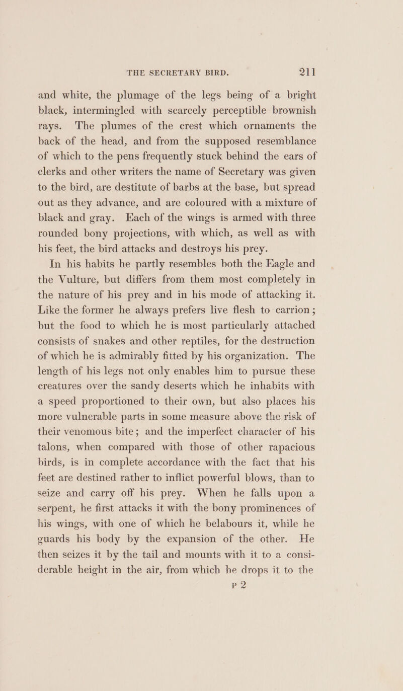 and white, the plumage of the legs being of a bright black, intermingled with scarcely perceptible brownish rays. ‘The plumes of the crest which ornaments the back of the head, and from the supposed resemblance of which to the pens frequently stuck behind the ears of clerks and other writers the name of Secretary was given to the bird, are destitute of barbs at the base, but spread out as they advance, and are coloured with a mixture of black and gray. Each of the wings is armed with three rounded bony projections, with which, as well as with his feet, the bird attacks and destroys his prey. In his habits he partly resembles both the Eagle and the Vulture, but differs from them most completely in the nature of his prey and in his mode of attacking it. Like the former he always prefers live flesh to carrion ; but the food to which he is most particularly attached consists of snakes and other reptiles, for the destruction of which he is admirably fitted by his organization. The length of his legs not only enables him to pursue these creatures over the sandy deserts which he inhabits with a speed proportioned to their own, but also places his more vulnerable parts in some measure above the risk of their venomous bite; and the imperfect character of his talons, when compared with those of other rapacious birds, is in complete accordance with the fact that his feet are destined rather to inflict powerful blows, than to seize and carry off his prey. When he falls upon a serpent, he first attacks it with the bony prominences of his wings, with one of which he belabours it, while he guards his body by the expansion of the other. He then seizes it by the tail and mounts with it to a consi- derable height in the air, from which he drops it to the P2
