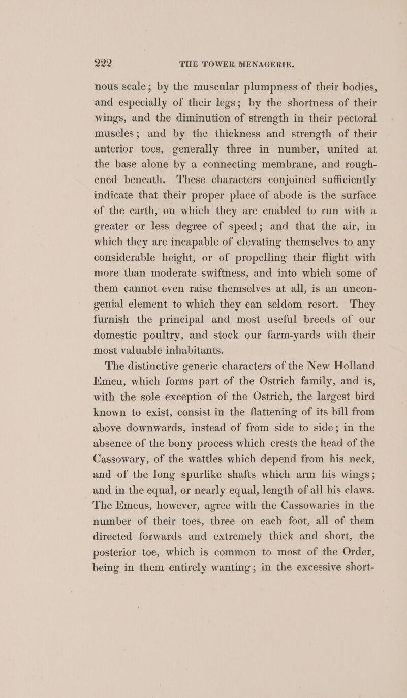 nous scale; by the muscular plumpness of their bodies, and especially of their legs; by the shortness of their wings, and the diminution of strength in their pectoral muscles; and by the thickness and strength of their anterior toes, generally three in number, united at the base alone by a connecting membrane, and rough- ened beneath. These characters conjoined sufficiently indicate that their proper place of abode is the surface of the earth, on which they are enabled to run with a greater or less degree of speed; and that the air, in which they are incapable of elevating themselves to any considerable height, or of propelling their flight with more than moderate swiftness, and into which some of them cannot even raise themselves at all, is an uncon- genial element to which they can seldom resort. 'They furnish the principal and most useful breeds of our domestic poultry, and stock our farm-yards with their most valuable inhabitants. The distinctive generic characters of the New Holland Emeu, which forms part of the Ostrich family, and is, with the sole exception of the Ostrich, the largest bird known to exist, consist in the flattening of its bill from above downwards, instead of from side to side; in the absence of the bony process which crests the head of the Cassowary, of the wattles which depend from his neck, and of the long spurlike shafts which arm his wings ; and in the equal, or nearly equal, length of all his claws. The Emeus, however, agree with the Cassowaries in the number of their toes, three on each foot, all of them directed forwards and extremely thick and short, the posterior toe, which is common to most of the Order, being in them entirely wanting; in the excessive short-