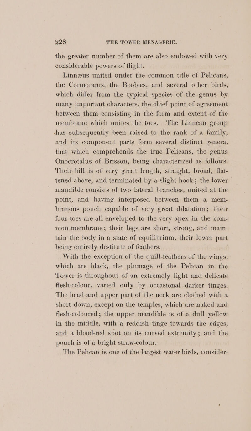 the greater number of them are also endowed with very considerable powers of flight. Linneus united under the common title of Pelicans, the Cormorants, the Boobies, and several other birds, which differ from the typical species of the genus by many important characters, the chief point of agreement between them consisting in the form and extent of the membrane which unites the toes. The Linnean group has subsequently been raised to the rank of a family, and its component parts form several distinct genera, that which comprehends the true Pelicans, the genus Onocrotalus of Brisson, being characterized as follows. Their bill is of very great length, straight, broad, flat- tened above, and terminated by a slight hook; the lower mandible consists of two lateral branches, united at the point, and having interposed between them a mem- branous pouch capable of very great dilatation; their four toes are all enveloped to the very apex in the com- mon membrane ; their legs are short, strong, and main- tain the body in a state of equilibrium, their lower part being entirely destitute of feathers. With the exception of the quill-feathers of the wings, which are black, the plumage of the Pelican in the Tower is throughout of an extremely light and delicate flesh-colour, varied only by occasional darker tinges. The head and upper part of the neck are clothed with a short down, except on the temples, which are naked and flesh-coloured ; the upper mandible is of a dull yellow in the middle, with a reddish tinge towards the edges, and a blood-red spot on its curved extremity; and the pouch is of a bright straw-colour. The Pelican is one of the largest water-birds, consider-