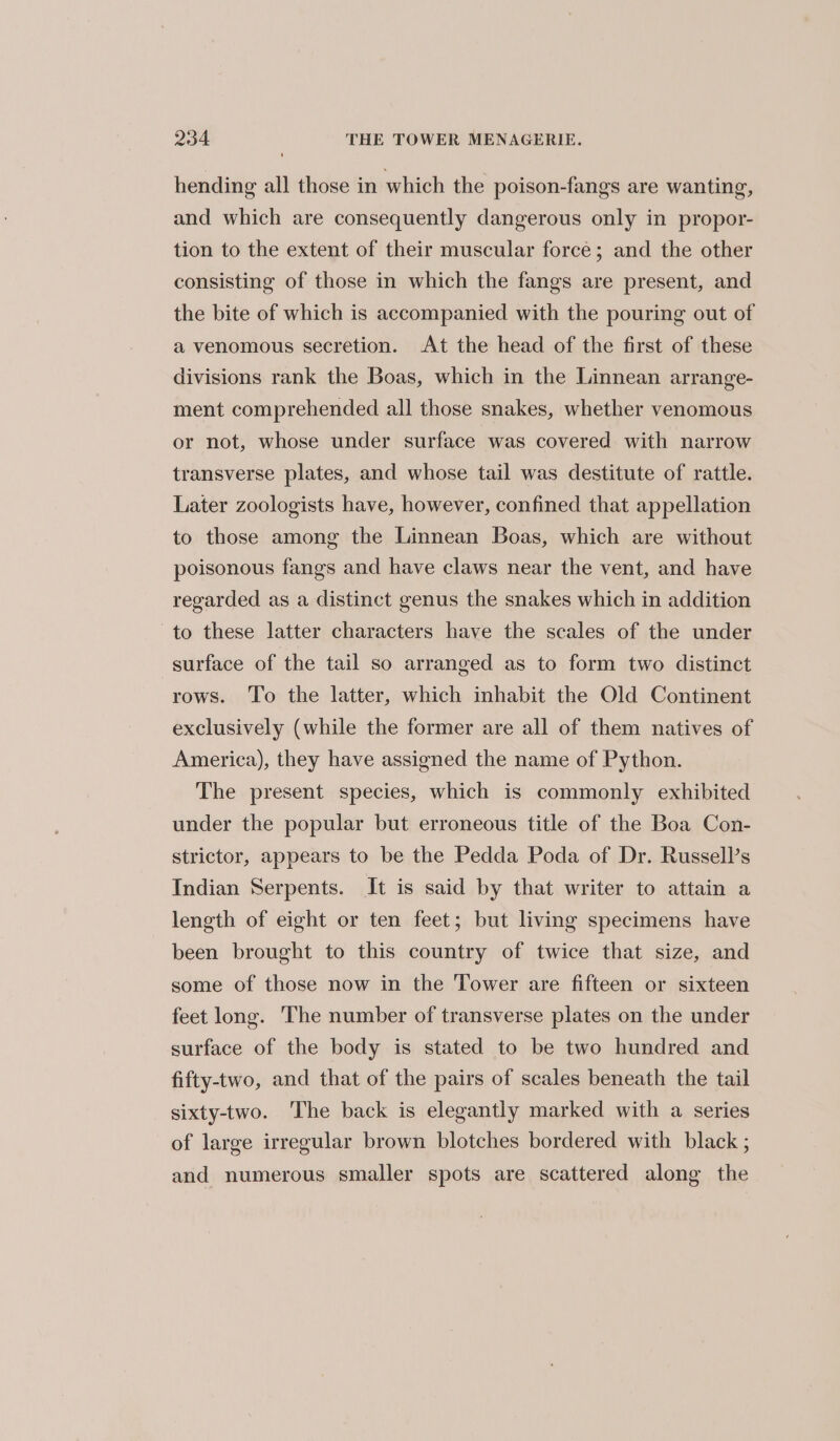 hending all those in which the poison-fangs are wanting, and which are consequently dangerous only in propor- tion to the extent of their muscular force; and the other consisting of those in which the fangs are present, and the bite of which is accompanied with the pouring out of a venomous secretion. At the head of the first of these divisions rank the Boas, which in the Linnean arrange- ment comprehended all those snakes, whether venomous or not, whose under surface was covered with narrow transverse plates, and whose tail was destitute of rattle. Later zoologists have, however, confined that appellation to those among the Linnean Boas, which are without poisonous fangs and have claws near the vent, and have regarded as a distinct genus the snakes which in addition to these latter characters have the scales of the under surface of the tail so arranged as to form two distinct rows. To the latter, which inhabit the Old Continent exclusively (while the former are all of them natives of America), they have assigned the name of Python. The present species, which is commonly exhibited under the popular but erroneous title of the Boa Con- strictor, appears to be the Pedda Poda of Dr. Russell’s Indian Serpents. It is said by that writer to attain a length of eight or ten feet; but living specimens have been brought to this country of twice that size, and some of those now in the Tower are fifteen or sixteen feet long. The number of transverse plates on the under surface of the body is stated to be two hundred and fifty-two, and that of the pairs of scales beneath the tail sixty-two. The back is elegantly marked with a series of large irregular brown blotches bordered with black ; and numerous smaller spots are scattered along the