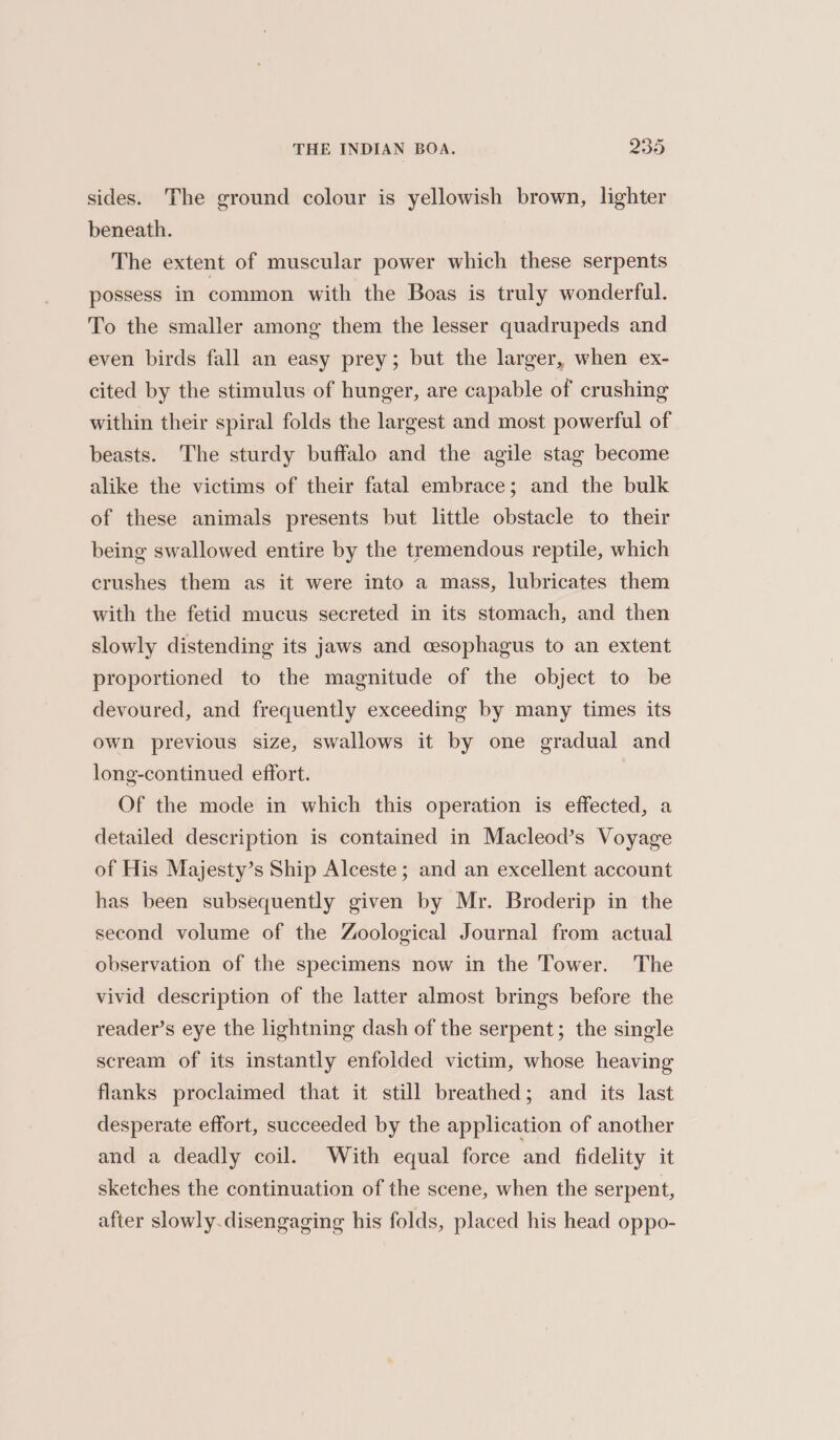 sides. The ground colour is yellowish brown, lighter beneath. The extent of muscular power which these serpents possess in common with the Boas is truly wonderful. To the smaller among them the lesser quadrupeds and even birds fall an easy prey; but the larger, when ex- cited by the stimulus of hunger, are capable of crushing within their spiral folds the largest and most powerful of beasts. The sturdy buffalo and the agile stag become alike the victims of their fatal embrace; and the bulk of these animals presents but little obstacle to their being swallowed entire by the tremendous reptile, which crushes them as it were into a mass, lubricates them with the fetid mucus secreted in its stomach, and then slowly distending its jaws and cesophagus to an extent proportioned to the magnitude of the object to be devoured, and frequently exceeding by many times its own previous size, swallows it by one gradual and long-continued effort. Of the mode in which this operation is effected, a detailed description is contained in Macleod’s Voyage of His Majesty’s Ship Alceste ; and an excellent account has been subsequently given by Mr. Broderip in the second volume of the Zoological Journal from actual observation of the specimens now in the Tower. The vivid description of the latter almost brings before the reader’s eye the lightning dash of the serpent; the single scream of its instantly enfolded victim, whose heaving flanks proclaimed that it still breathed; and its last desperate effort, succeeded by the application of another and a deadly coil. With equal force and fidelity it sketches the continuation of the scene, when the serpent, after slowly.disengaging his folds, placed his head oppo-