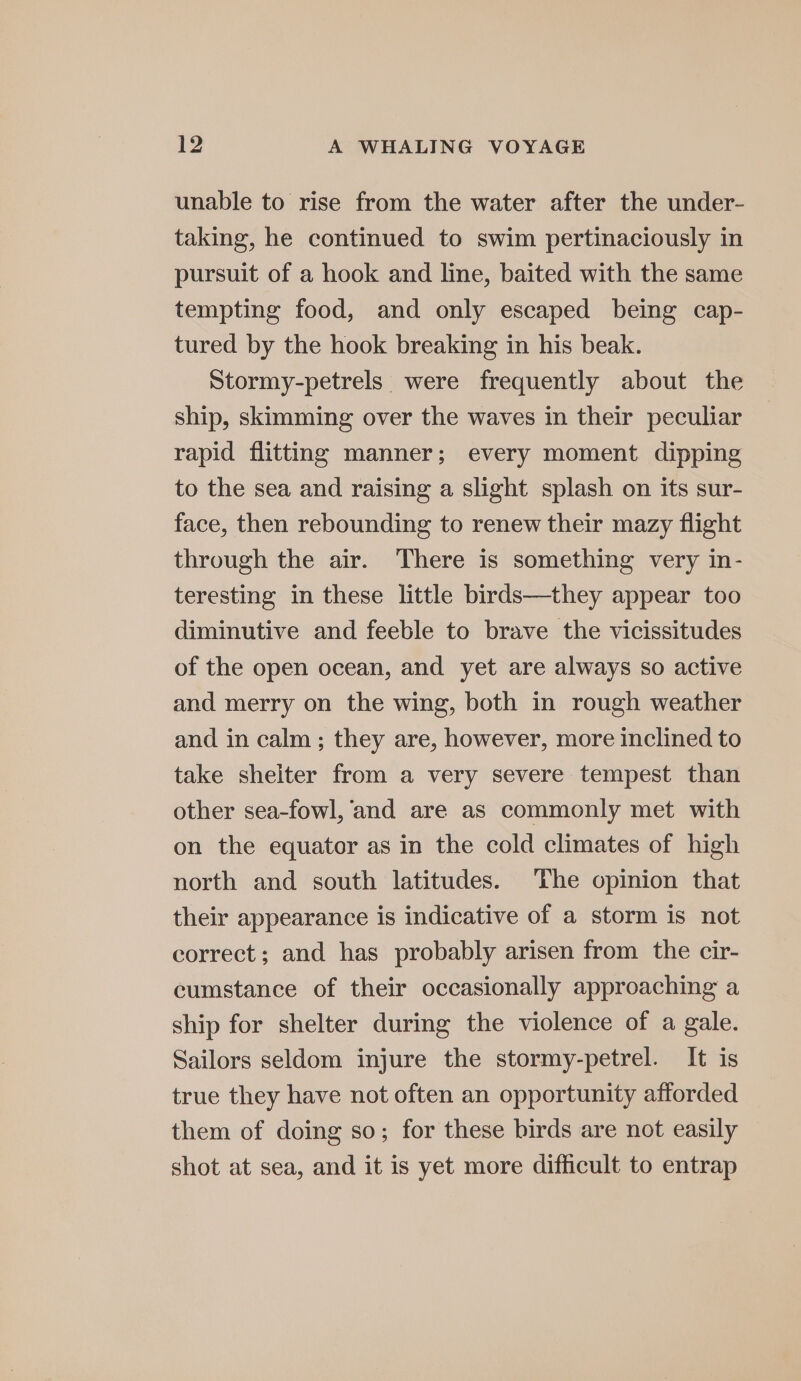 unable to rise from the water after the under- taking, he continued to swim pertinaciously in pursuit of a hook and line, baited with the same tempting food, and only escaped being cap- tured by the hook breaking in his beak. Stormy-petrels were frequently about the ship, skimming over the waves in their peculiar rapid flitting manner; every moment dipping to the sea and raising a slight splash on its sur- face, then rebounding to renew their mazy flight through the air. There is something very in- teresting in these little birds—they appear too diminutive and feeble to brave the vicissitudes of the open ocean, and yet are always so active and merry on the wing, both in rough weather and in calm ; they are, however, more inclined to take shelter from a very severe tempest than other sea-fowl, ‘and are as commonly met with on the equator as in the cold climates of high north and south latitudes. The opinion that their appearance is indicative of a storm is not correct; and has probably arisen from the cir- cumstance of their occasionally approaching a ship for shelter during the violence of a gale. Sailors seldom injure the stormy-petrel. It is true they have not often an opportunity afforded them of doing so; for these birds are not easily shot at sea, and it is yet more difficult to entrap