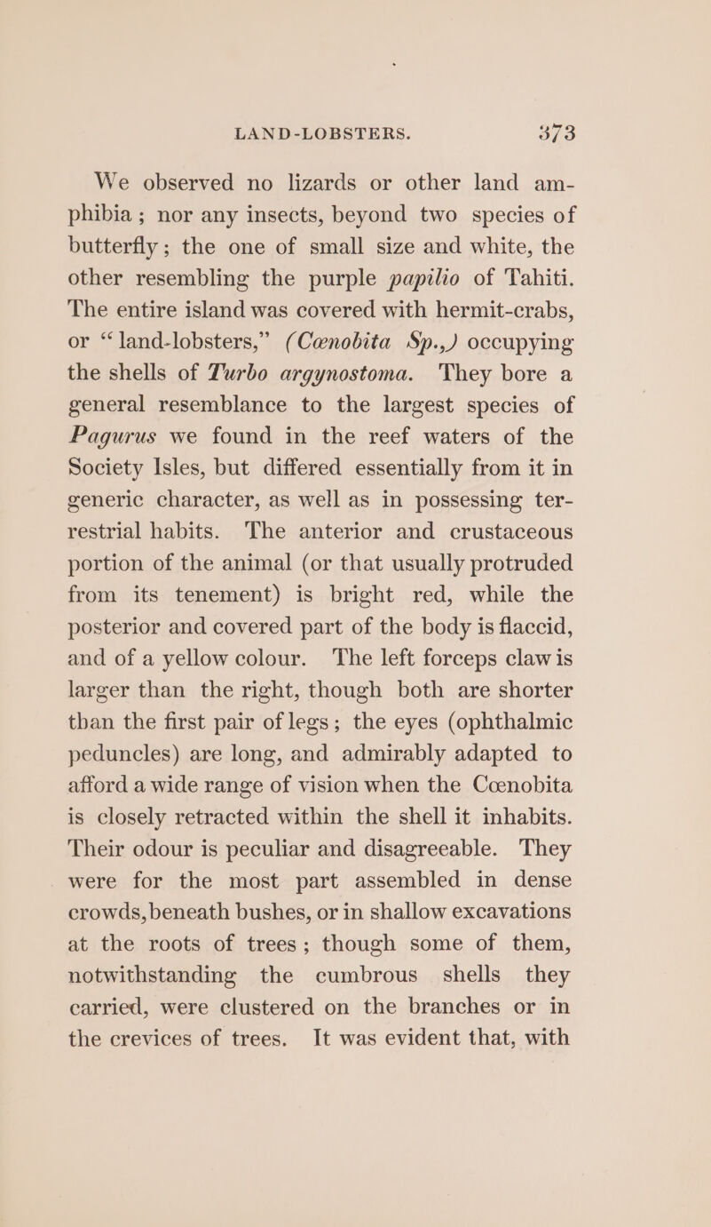 We observed no lizards or other land am- phibia ; nor any insects, beyond two species of butterfly ; the one of small size and white, the other resembling the purple papilio of Tahiti. The entire island was covered with hermit-crabs, or “land-lobsters,” (Canobita Sp.,) occupying the shells of Turbo argynostoma. ‘They bore a general resemblance to the largest species of Pagurus we found in the reef waters of the Society Isles, but differed essentially from it in generic character, as well as in possessing ter- restrial habits. The anterior and crustaceous portion of the animal (or that usually protruded from its tenement) is bright red, while the posterior and covered part of the body is flaccid, and of a yellow colour. The left forceps claw is larger than the right, though both are shorter than the first pair of legs; the eyes (ophthalmic peduncles) are long, and admirably adapted to afford a wide range of vision when the Coenobita is closely retracted within the shell it inhabits. Their odour is peculiar and disagreeable. They were for the most part assembled in dense crowds, beneath bushes, or in shallow excavations at the roots of trees; though some of them, notwithstanding the cumbrous shells they carried, were clustered on the branches or in the crevices of trees. It was evident that, with