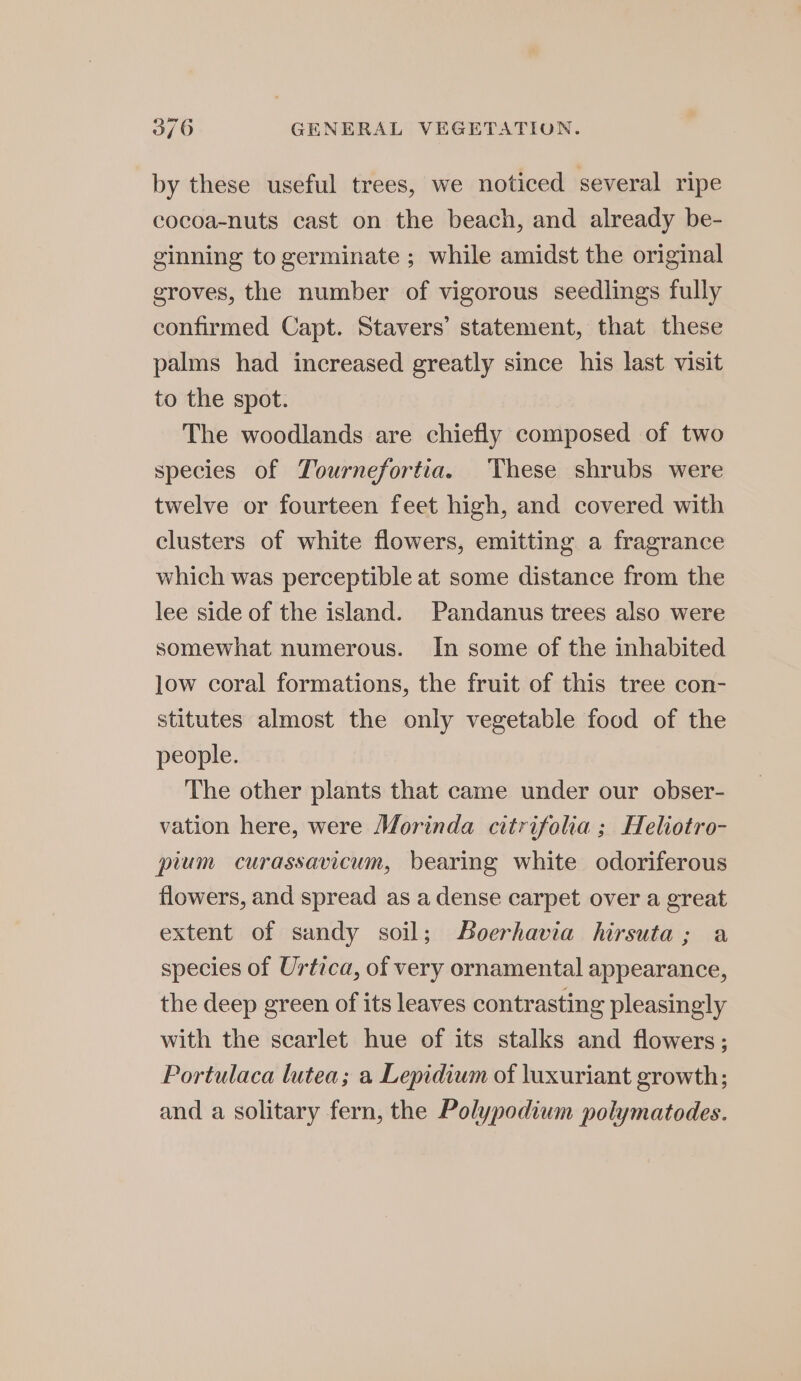 3/6 GENERAL VEGETATION. by these useful trees, we noticed several ripe cocoa-nuts cast on the beach, and already be- ginning to germinate ; while amidst the original groves, the number of vigorous seedlings fully confirmed Capt. Stavers’ statement, that these palms had increased greatly since his last visit to the spot. The woodlands are chiefly composed of two species of Tournefortia. These shrubs were twelve or fourteen feet high, and covered with clusters of white flowers, emitting a fragrance which was perceptible at some distance from the lee side of the island. Pandanus trees also were somewhat numerous. In some of the inhabited low coral formations, the fruit of this tree con- stitutes almost the only vegetable food of the people. The other plants that came under our obser- vation here, were Morinda citrifolia ; Heliotro- pium curassavicum, bearing white odoriferous flowers, and spread as a dense carpet over a great extent of sandy soil; Boerhavia hirsuta; a species of Urtica, of very ornamental appearance, the deep green of its leaves contrasting pleasingly with the scarlet hue of its stalks and flowers; Portulaca lutea; a Lepidium of luxuriant growth; and a solitary fern, the Polypodium polymatodes.