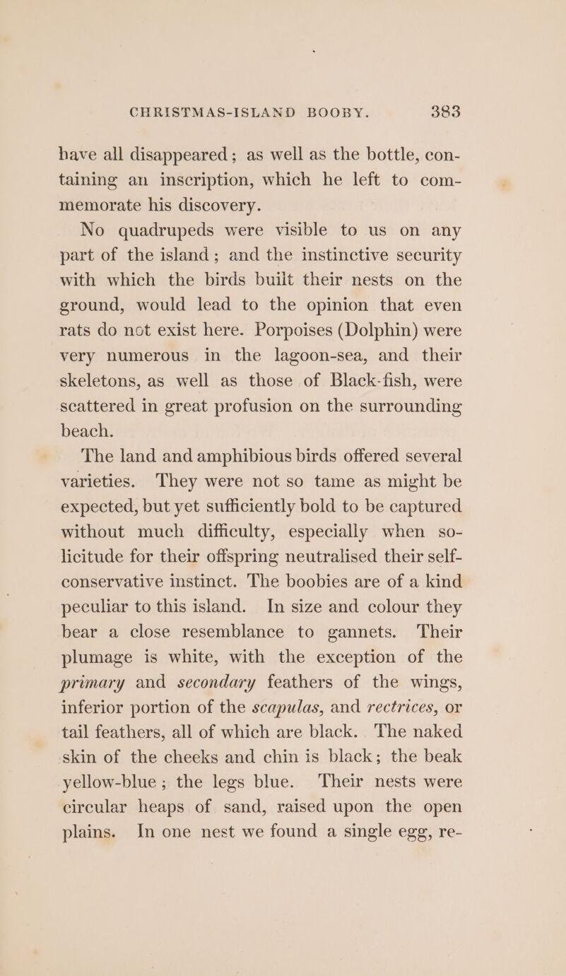 have all disappeared; as well as the bottle, con- taining an inscription, which he left to com- memorate his discovery. No quadrupeds were visible to us on any part of the island; and the instinctive security with which the birds buiit their nests on the ground, would lead to the opinion that even rats do not exist here. Porpoises (Dolphin) were very numerous in the lagoon-sea, and their skeletons, as well as those of Black-fish, were scattered in great profusion on the surrounding beach. The land and amphibious birds offered several varieties. They were not so tame as might be expected, but yet sufficiently bold to be captured without much difficulty, especially when so- licitude for their offspring neutralised their self- conservative instinct. The boobies are of a kind peculiar to this island. In size and colour they bear a close resemblance to gannets. Their plumage is white, with the exception of the primary and secondary feathers of the wings, inferior portion of the scapulas, and rectrices, or tail feathers, all of which are black. The naked skin of the cheeks and chin is black; the beak yellow-blue ; the legs blue. Their nests were circular heaps of sand, raised upon the open plains. In one nest we found a single egg, re-