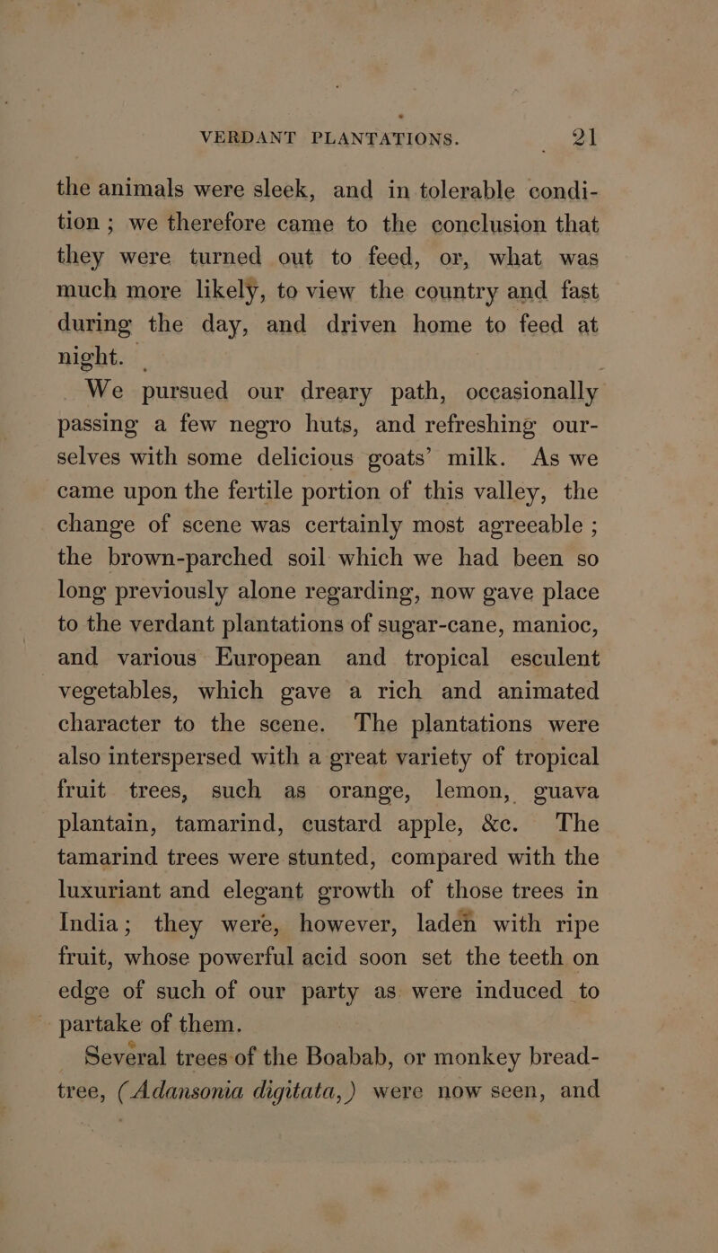 the animals were sleek, and in tolerable condi- tion ; we therefore came to the conclusion that they were turned out to feed, or, what was much more likely, to view the country and fast during the day, and driven home to feed at night. _ We pursued our dreary path, occasionally passing a few negro huts, and refreshing our- selves with some delicious goats’ milk. As we came upon the fertile portion of this valley, the change of scene was certainly most agreeable ; the brown-parched soil which we had been so long previously alone regarding, now gave place to the verdant plantations of sugar-cane, manioc, and various European and tropical esculent vegetables, which gave a rich and animated character to the scene. The plantations were also interspersed with a great variety of tropical fruit trees, such as orange, lemon, guava plantain, tamarind, custard apple, &amp;c. The tamarind trees were stunted, compared with the luxuriant and elegant growth of those trees in India; they were, however, laden with ripe fruit, whose powerful acid soon set the teeth on edge of such of our party as were induced to - partake of them. Several trees of the Boabab, or monkey bread- tree, (Adansonia digitata, ) were now seen, and