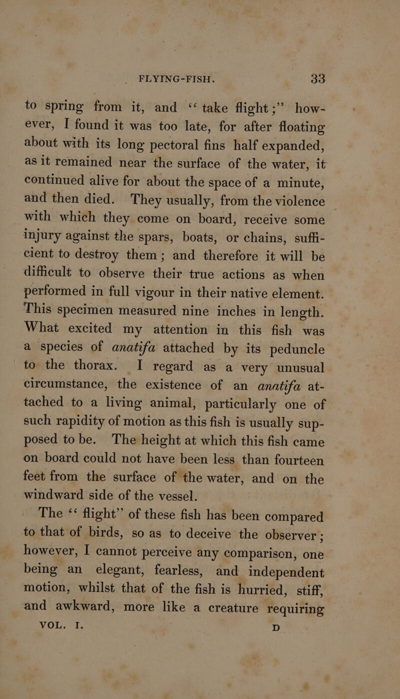 to spring from it, and “take flight ;” how- ever, I found it was too late, for after floating. about with its long pectoral fins half expanded, as it remained near the surface of the water, it continued alive for about the space of a minute, and then died. They usually, from the violence — with which they come on board, receive some injury against the spars, boats, or chains, suffi- cient to destroy them; and therefore it will be difficult to observe their true actions as when performed in full vigour in their native element. This specimen measured nine inches in length. What excited my attention in this fish was a species of anatifa attached by its peduncle to the thorax. I regard as a very unusual circumstance, the existence of an anatifa at- tached to a living animal, particularly one of such rapidity of motion as this fish is usually sup- posed tobe. The height at which this fish came on board could not have been less than fourteen feet from the surface of the water, and on the windward side of the vessel. The ‘‘ flight” of these fish has been compared to that of birds, so as to deceive the observer ; however, I cannot perceive any comparison, one being an elegant, fearless, and independent motion, whilst that of the fish is hurried, stiff, and awkward, more like a creature requiring VOL. I. 3 D