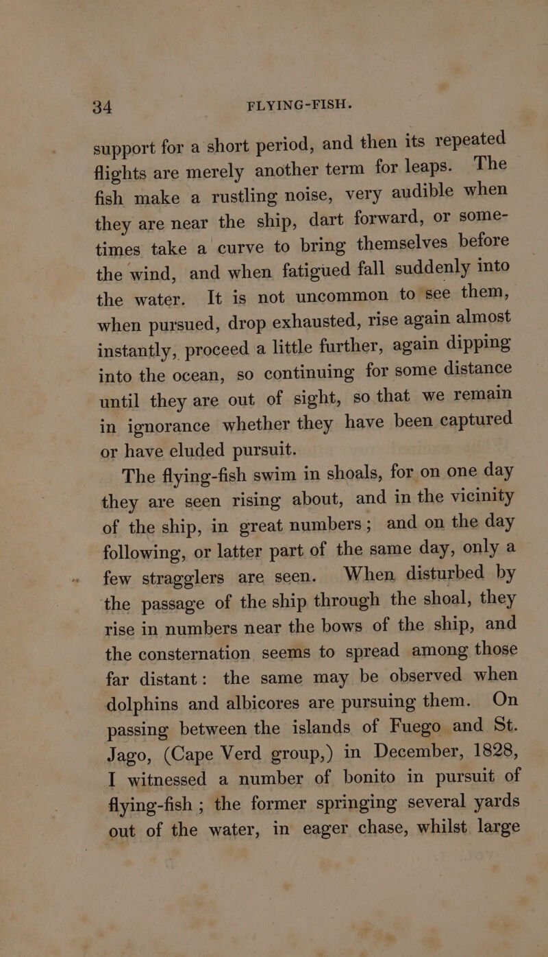 support for a short period, and then its repeated flights are merely another term for leaps. The fish make a rustling noise, very audible when they are near the ship, dart forward, or some- times take a curve to bring themselves betore the wind, and when fatigued fall suddenly into the water. It is not uncommon to see them, when pursued, drop exhausted, rise again almost instantly, proceed a little further, again dipping into the ocean, so continuing for some distance until they are out of sight, so that we remain in ignorance whether they have been captured or have eluded pursuit. The flying-fish swim in shoals, for on one day they are seen rising about, and in the vicinity of the ship, in great numbers; and on the day following, or latter part of the same day, only a few stragglers are seen. When disturbed by the passage of the ship through the shoal, they rise in numbers near the bows of the ship, and the consternation seems to spread among those far distant: the same may be observed when dolphins and albicores are pursuing them. On passing between the islands of Fuego and St. Jago, (Cape Verd group,) in December, 1828, I witnessed a number of bonito in pursuit of flying-fish ; the former springing several yards out of the water, in eager chase, whilst large