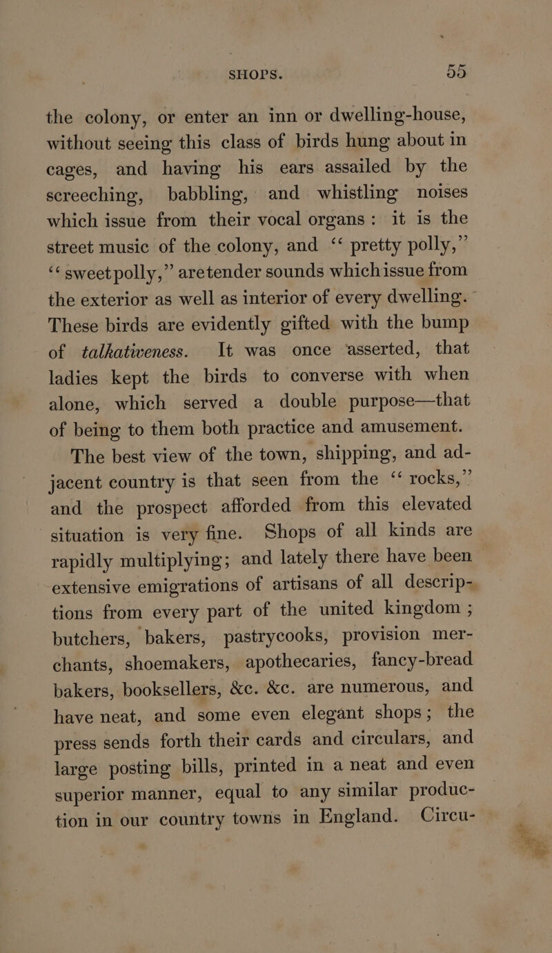 SHOPS. 575) the colony, or enter an inn or dwelling-house, without seeing this class of birds hung about in cages, and having his ears assailed by the screeching, babbling, and whistling noises which issue from their vocal organs: it is the street music of the colony, and “‘ pretty polly,” ‘¢ sweet polly,” aretender sounds whichissue from These birds are evidently gifted with the bump of talkativeness. It was once asserted, that ladies kept the birds to converse with when alone, which served a double purpose—that of being to them both practice and amusement. The best view of the town, shipping, and ad- jacent country is that seen from the ‘ rocks,” and the prospect afforded from this elevated situation is very fine. Shops of all kinds are rapidly multiplying; and lately there have been extensive emigrations of artisans of all descrip- tions from every part of the united kingdom ; butchers, bakers, pastrycooks, provision mer- chants, shoemakers, apothecaries, fancy-bread bakers, booksellers, &amp;c. &amp;c. are numerous, and have neat, and some even elegant shops; the press sends forth their cards and circulars, and large posting bills, printed in a neat and even superior manner, equal to any similar produc- tion in our country towns in England. Circu- rh” bit i a a