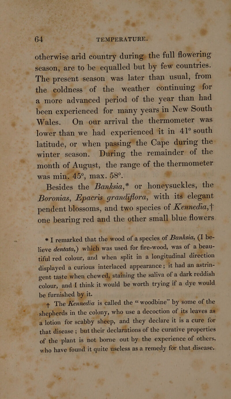 He «64 | TEMPERATURE. . otherwise arid country during, the full flowering season, are to be equalled but by few countries. The present season was later than usual, from the coldness of the weather continuing for a Bt advanced period of the year than had been experienced for many years in New South Wales. On our arrival the thermometer was lower than we had experienced it in 41° south latitude, or when passing the Cape during the winter season. During the remainder of the month of ip ucusts the range of the thermometer was min. ABS, max. 58°. sal Besides the Banfsia,* or honeysuckles, the Boronias, Epacris_ grandiflora, with its elegant pendent blossoms, and two species of Kennedia,} one bearing red and the other small blue flowers. * I remarked that the’ Rood of a species of Banksia, (1 be- lieve dentata, ) which was used for fire-wood, was of a peau tiful red colour, and when split in a longitudinal direction displayed a curious interlaced appearance ; it had an astrin- gent taste when chewed; staining the saliva of a dark reddish colour, and I think it would be worth trying if a dye would be furnished by it. e+ The Kennedia is called the “ mppabines by some of the shepherds i in the colony, who use a decoction of its leaves as” a lotion for scabby sheep, and they declare it 1s a cure for that disease ; but their declarations of the curative properties of the plant is not borne out by the experience of others, who have found it quite useless as a remedy for that disease. . &gt;