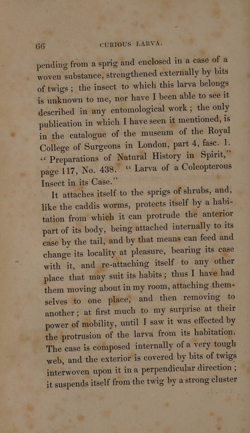 pending from a sprig and enclosed in a case of a woven substance, strengthened externally by bits of twigs ; the insect to which this larva belongs ‘5 unknown to me, nor have | been able to see it described in any entomological work ; the only publication in which I have seen it mentioned, 1s in the catalogue of the museum of the Royal College of Surgeons in London, part 4, fase. 1. ‘¢ Preparations of Natural History in Spirit,” page 117, No. 438. ‘* Larva of a Coleopterous Insect in its Case.” It attaches itself to the sprigs of shrubs, and, like the caddis worms, protects itself by a habi- tation from which it can protrude the anterior part of its body, being attached internally to its case by the tail, and by that means can feed and change its locality at pleasure, bearing its case with it, and re-attaching itself to any other place that may suit its habits; thus I have had them moving about in my room, attaching them- selves to one place, and then removing to another; at first much to my surprise at their power of mobility, until I saw it was effected by the protrusion of the larva from its habitation. The case is composed internally of a very tough web, and the exterior is covered by bits of twigs interwoven upon it ina perpendicular direction ; it suspends itself from the twig by a strong cluster