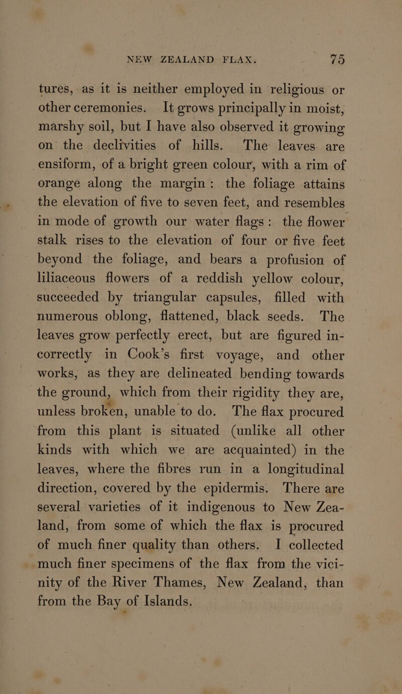 tures, as it is neither employed in religious or other ceremonies. It grows principally in moist, marshy soil, but I have also observed it growing on the declivities of hills. The leaves are ensiform, of a bright green colour, with a rim of orange along the margin: the foliage attains the elevation of five to seven feet, and resembles in mode of growth our water flags: the flower stalk rises to the elevation of four or five feet beyond the foliage, and bears a profusion of liliaceous flowers of a reddish yellow colour, ~ succeeded by triangular capsules, filled with numerous oblong, flattened, black seeds. The leaves grow perfectly erect, but are figured in- correctly in Cook’s first voyage, and other works, as they are delineated bending towards the ground, which from their rigidity they are, unless broken, unable to do. The flax procured from this plant is situated (unlike all other kinds with which we are acquainted) in the leaves, where the fibres run in a longitudinal direction, covered by the epidermis. There are several varieties of it indigenous to New Zea- land, from some of which the flax is procured of much finer quality than others. I collected much finer specimens of the flax from the vici- nity of the River Thames, New Zealand, than from the Bay of Islands,