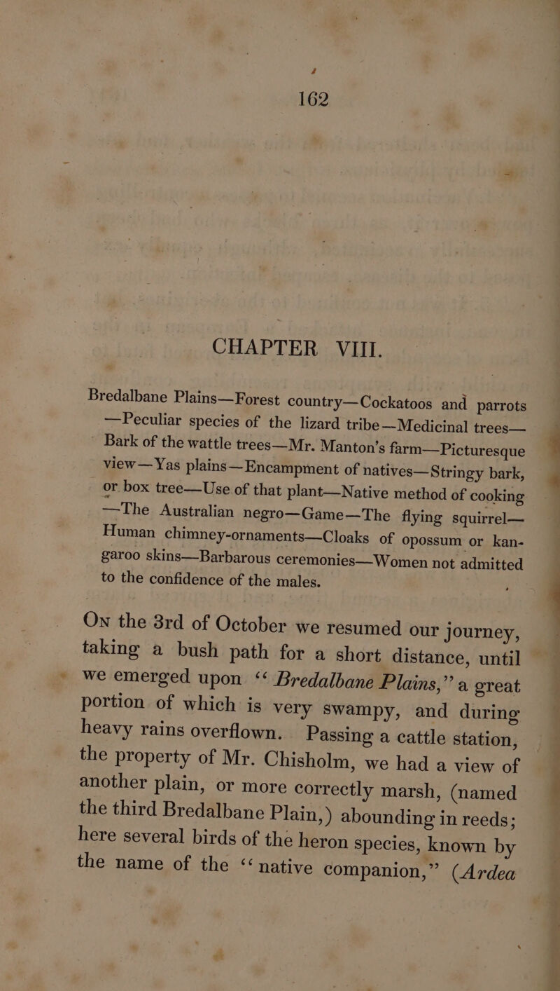 CHAPTER. VIII. Bredalbane Plains—Forest country—Cockatoos and parrots —Peculiar species of the lizard tribe — Medicinal trees— _ Bark of the wattle trees—Mr. Manton’s farm—Picturesque view — Yas plains— Encampment of natives—Stringy bark, _ or box tree—Use of that plant—Native method of cooking —The Australian negro—Game—The flying squirrel— Human chimney-ornaments—Cloaks of opossum or kan- garoo skins—Barbarous ceremonies—Women not admitted to the confidence of the males. On the 3rd of October we resumed our journey, taking a bush path for a short distance, until we emerged upon ‘‘ Bredalbane Plains,” a great portion of which is very swampy, and during heavy rains overflown. Passing a cattle station, the property of Mr. Chisholm, we had a view of another plain, or more correctly marsh, (named the third Bredalbane Plain,) abounding in reeds; here several birds of the heron species, known by the name of the “native companion,” (Ardea