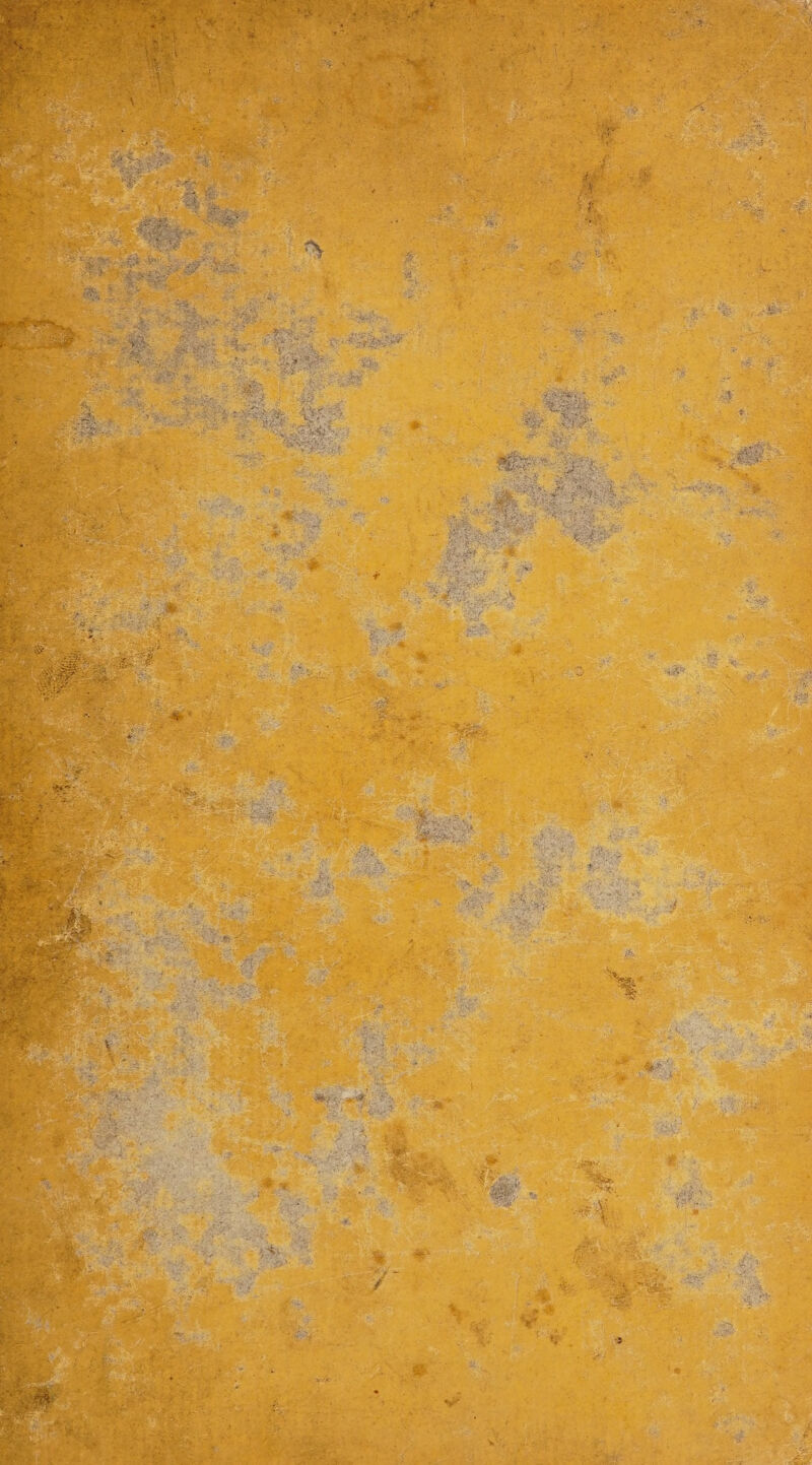 7 7 a R