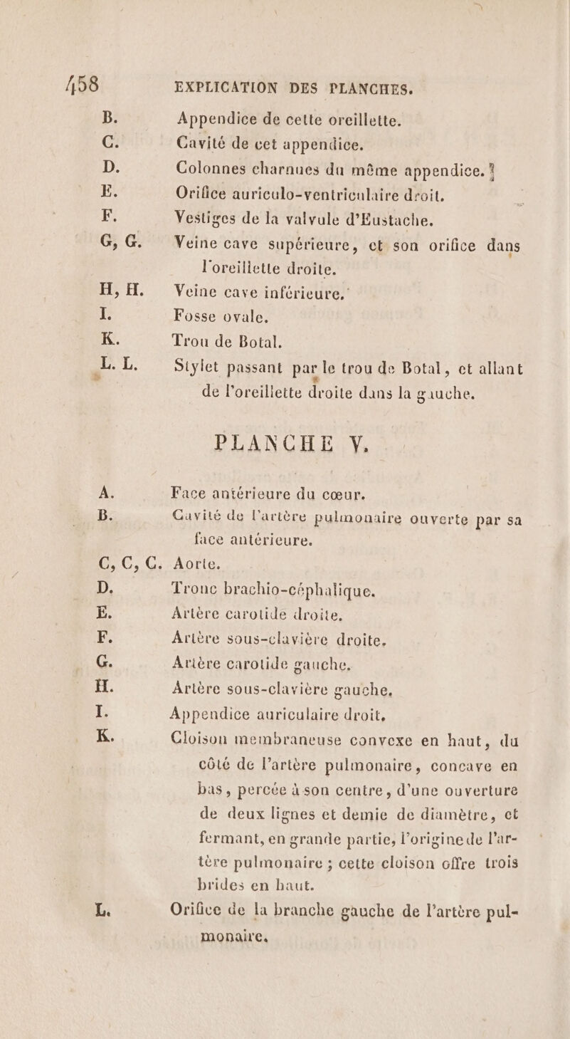 B. Appendice de cette oreillette. C. Cavité de cet appendice. D. Colonnes charnues da même appendice. E. Orilice auriculo-ventriculaire droit, F. Vestiges de la valvule d’Eustache. G, G. Veine cave supérieure, et son orifice dans l'oreiliette droite. H, H. Veine cave inférieure, te Fosse ovale. K. Trou de Botal, L. L. Siylet passant par le trou de Botal, et allant 2 LS de l'oreillette droite dans la gauche. PLANCHE Y, A. Face antérieure du cœur. B. Cavité de l'artère pulmonaire ouverte par sa face antérieure. C, C, C. Aorte. D. Tronc brachio-céphalique. E. Artère carotide droite, F. Arière sous-clavière droite. G. Arière carotide gauche. H. Artère sous-clavière gauche, I. Appendice auriculaire droit, K. Cloison membraneuse convexe en haut, du côté de l’artère pulmonaire, concave en bas, percée à son centre, d'une ouverture de deux lignes et demie de diamètre, ct fermant, en grande partie, l’origine de lar- tère pulmonaire ; cette cloison offre trois brides en haut. Le: Orifice de la branche gauche de l'artère pul- monaire.