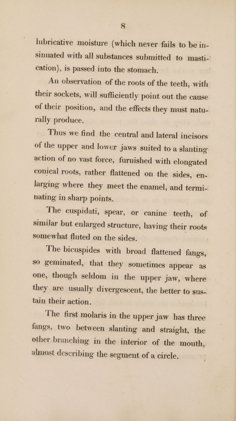 § lubricative moisture (which never fails to be in- sinuated with all substances submitted to masti- cation), is passed into the stomach. An observation of the roots of the teeth, with their sockets, will sufficiently point out the cause of their position, and the effects they must natu- rally produce. _ Thus we find the central and lateral incisors of the upper and lower jaws suited to a slanting action of no vast force, furnished with elongated conical roots, rather flattened on the sides, en- larging where they meet the enamel, and termi- nating in sharp points. The cuspidati, spear, or canine teeth, of similar but enlarged structure, having their roots somewhat fluted on the sides. The bicuspides with broad flattened fangs, so geminated, that they sometimes appear as one, though seldom in the upper jaw, where they are usually divergescent, the better to sus- tain their action. The first molaris in the upper jaw has three fangs, two between slanting and straight, the other branching in the interior of the mouth, almost describing the segment of a circle.