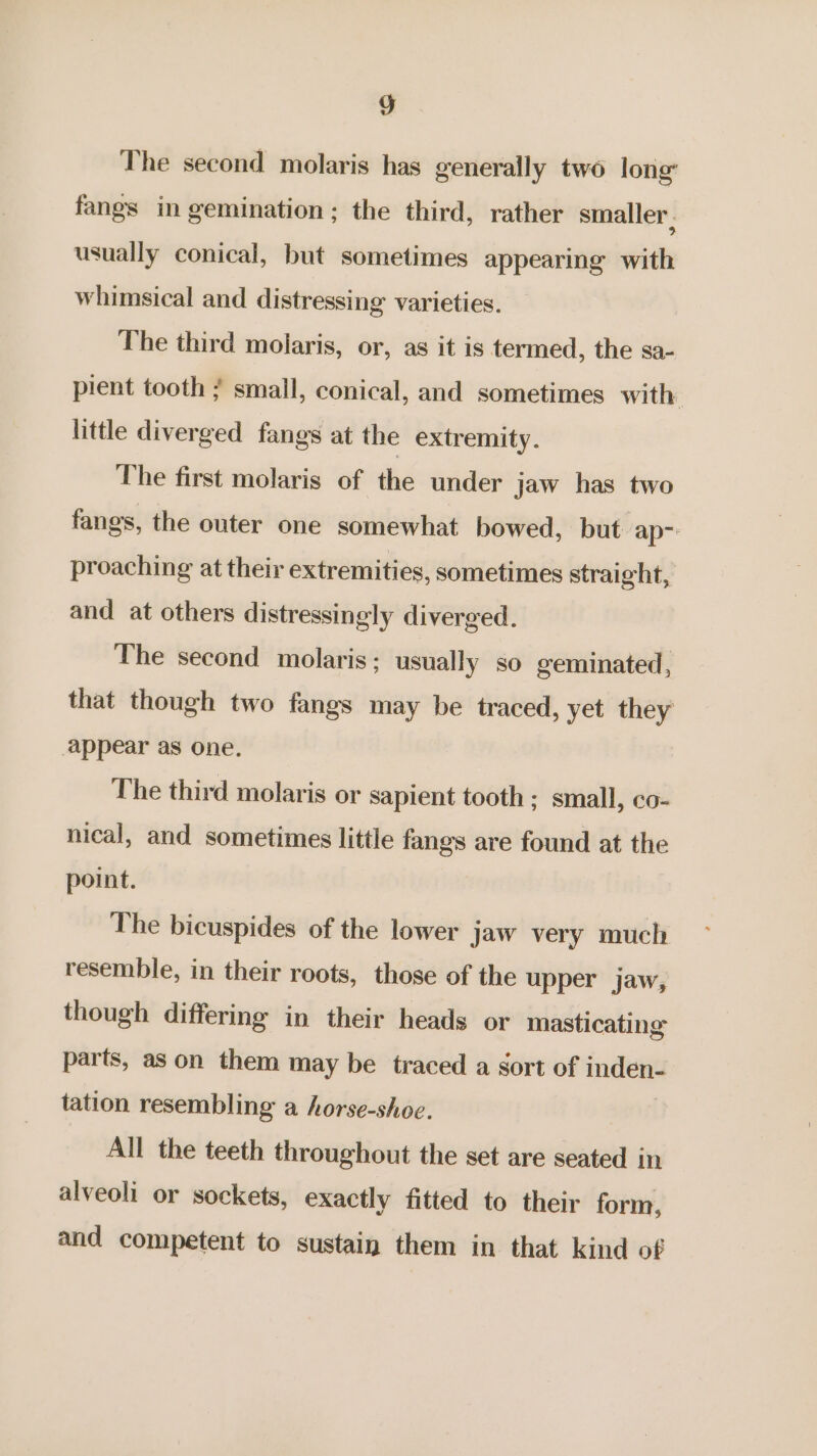 The second molaris has generally two long’ fangs in gemination; the third, rather smaller. usually conical, but sometimes appearing with whimsical and distressing varieties. The third molaris, or, as it is termed, the sa- pient tooth ? small, conical, and sometimes with little diverged fangs at the extremity. The first molaris of the under jaw has two fangs, the outer one somewhat bowed, but ap-: proaching at their extremities, sometimes straight, and at others distressingly diverged. The second molaris; usually so geminated, that though two fangs may be traced, yet they appear as one. The third molaris or sapient tooth ; small, co- nical, and sometimes little fangs are found at the point. The bicuspides of the lower jaw very much resemble, in their roots, those of the upper jaw, though differing in their heads or masticating parts, as on them may be traced a sort of inden- tation resembling a horse-shoe. All the teeth throughout the set are seated in alveoli or sockets, exactly fitted to their form, and competent to sustain them in that kind of