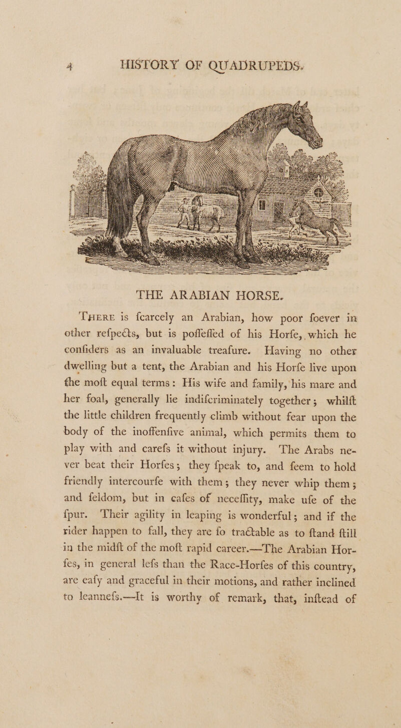 ARAB HNATER EN THE ARABIAN HORSE. THERE is fearcely an Arabian, how poor foever in other refpects, but is poflefled of his Horfe, which he confiders as an invaluable treafure. Having no other dwelling but a tent, the Arabian and his Horfe live upon the moft equal terms: His wife and family, his mare and her foal, generally lie indifcriminately together; whilft the little children frequently climb without fear upon the body of the inoffenfive animal, which permits them to play with and carefs it without injury. The Arabs ne- ver beat their Horfes; they {peak to, and feem to hold friendly intercourfe with them; they never whip them ; and feldom, but in cafes of neceflity, make ufe of the {pur. ‘Their agility in leaping is wonderful; and if the rider happen to fall, they are fo tractable as to ftand ftill. in the midft of the moft rapid career.—The Arabian Hor- fes, in general lefs than the Race-Horfes of this country, are eafy and graceful in their motions, and rather inclined to leannefs.—It is worthy of remark, that, inftead of