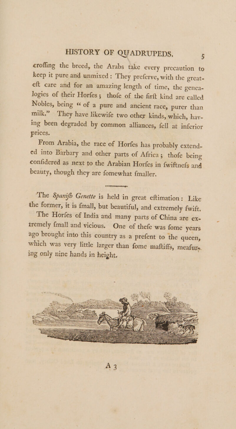 crofling the breed, the Arabs take every precaution to keep it pure and unmixed: They preferve, with the great- eft care and for an amazing length of time, the genea- logies of their Horfes ; thofe of the firft kind are called Nobles, being “of a pure and ancient race, purer than milk.” They have likewife two other kinds, which, hav- ing been degraded by common alliances, fell at inferior prices. From Arabia, the race of Horfes has probably extend- ed into Barbary and other parts of Africa; thofe being confidered as next to the Arabian Horfes in {wiftnefs and beauty, though they are fomewhat fmaller. ES ‘The Spanifb Genette is held in great eftimation: Like the former, it is fmall, but beautiful, and extremely fwift, The Horfes of India and many parts of China are ex- tremely {mall and vicious. One of thefe was fome years ago brought into this country as a prefent to the queen, which was very little larger than fome maftifts, meafure. ing only nine hands in height.