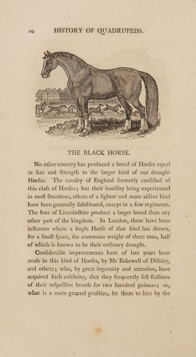 No other country has produced a breed of Horfes equal in fize and ftrength to the larger kind of our draught Horfes. The cavalry of England formerly confifted of this clafs of Horfes; but their inutility being experienced in moft fituations, others of a lighter and more adtive kind have been generally fubftituted, except in a few regiments. The fens of Lincolnfhire produce a larger breed than any other part of the kingdom. In London, there have been inftances where a fingle Horfe of that kind has drawn, for a {mall fpace, the enormous weight of three tons, half of which is known to be their ordinary draught. Confiderable improvements have of late years been made in this kind of Horfes, by Mr Bakewell of Dithley, and others; who, by great ingenuity and attention, have acquired fuch celebrity, that they frequently fell ftallions of their refpective breeds for two hundred guineas; or, what is a more general practice, let them to hire by the