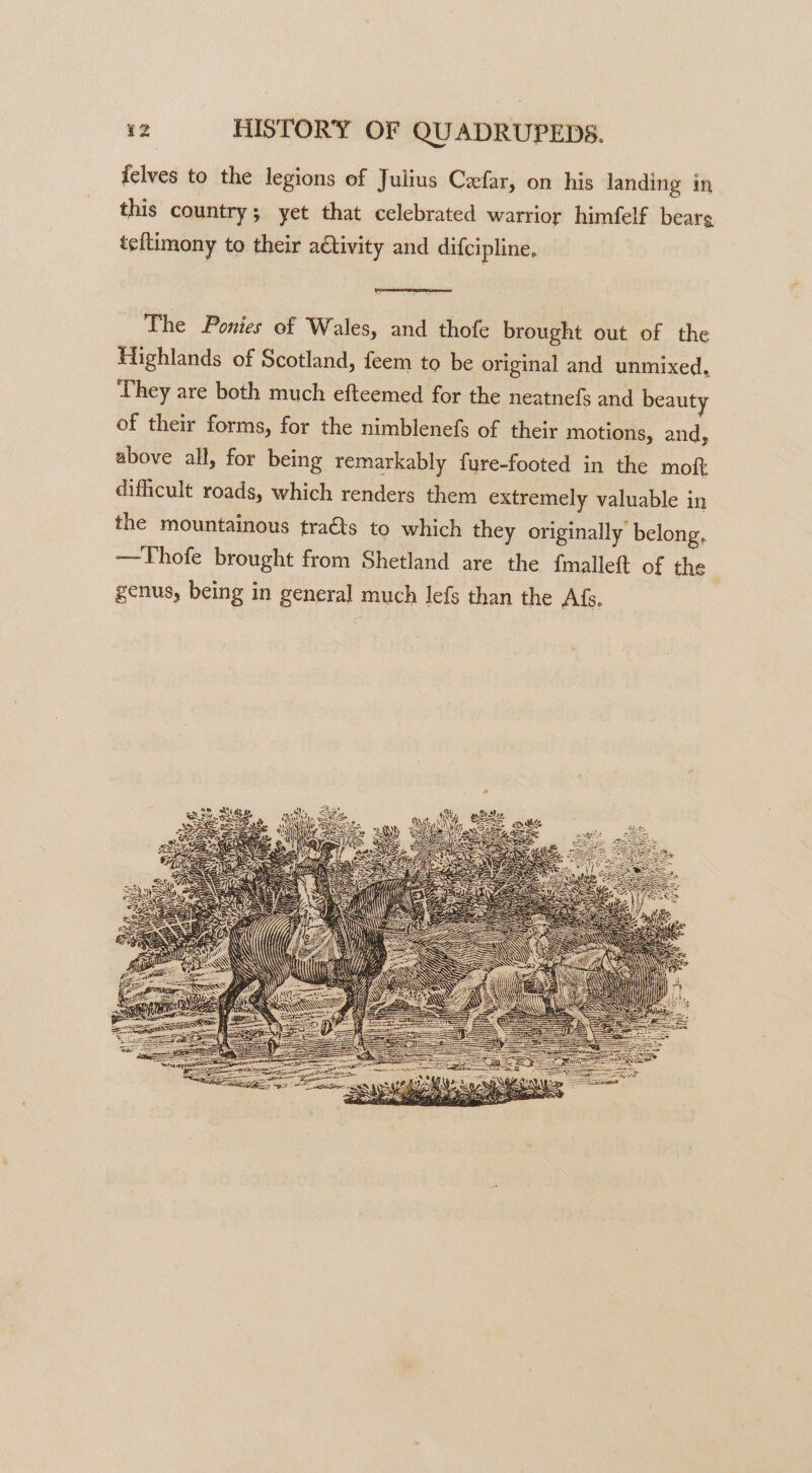 {elves to the legions of Julius Cefar, on his landing in this country; yet that celebrated warrior himfelf bears teitimony to their activity and difcipline, The Ponies of Wales, and thofe brought out of the Highlands of Scotland, feem to be original and unmixed, They are both much efteemed for the neatnefs and beauty