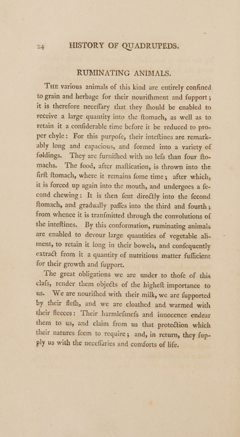 RUMINATING ANIMALS. THE various animals of this kind are entirely confined to grain and herbage for their nourifhment and fupport ; it is therefore neceflary that they fhould be enabled to receive a large quantity into the ftomach, as well as to retain it a confiderable time before it be reduced to pro- per chyle: For this purpofe, their inteftines are remark- ably long and capacious, and formed into a variety of foldings. They are furnifhed with no lefs than four fto-~ machs. ‘The food, after maftication, is thrown into the firft ftomach, where it remains fome time; after which, it is forced up again into the mouth, and undergoes a fe- cond chewing: It is then fent direétly into the fecond ftomach, and gradually pafles into the third and fourth; from whence it is tranfmitted through the convolutions of the inteftines. By this conformation, ruminating animals are enabled to devour large quantities of vegetable ali- ment, to retain it long in their bowels, and confequently ~extrat from it a quantity of nutritious matter fufficient for their growth and fupport. | The great obligations we are under to thofe of this clafs, render them objects of the highetft importance to us. We are nourifhed with their milk, we are fupported by their fleth, and we are cloathed and warmed with their fleeces: Their harmlefsnefs and innocence endear them to us, and claim from us that proteCtion which their natures feem to require; and, in return, they fup- ply us with the neceflaries and comforts of life.