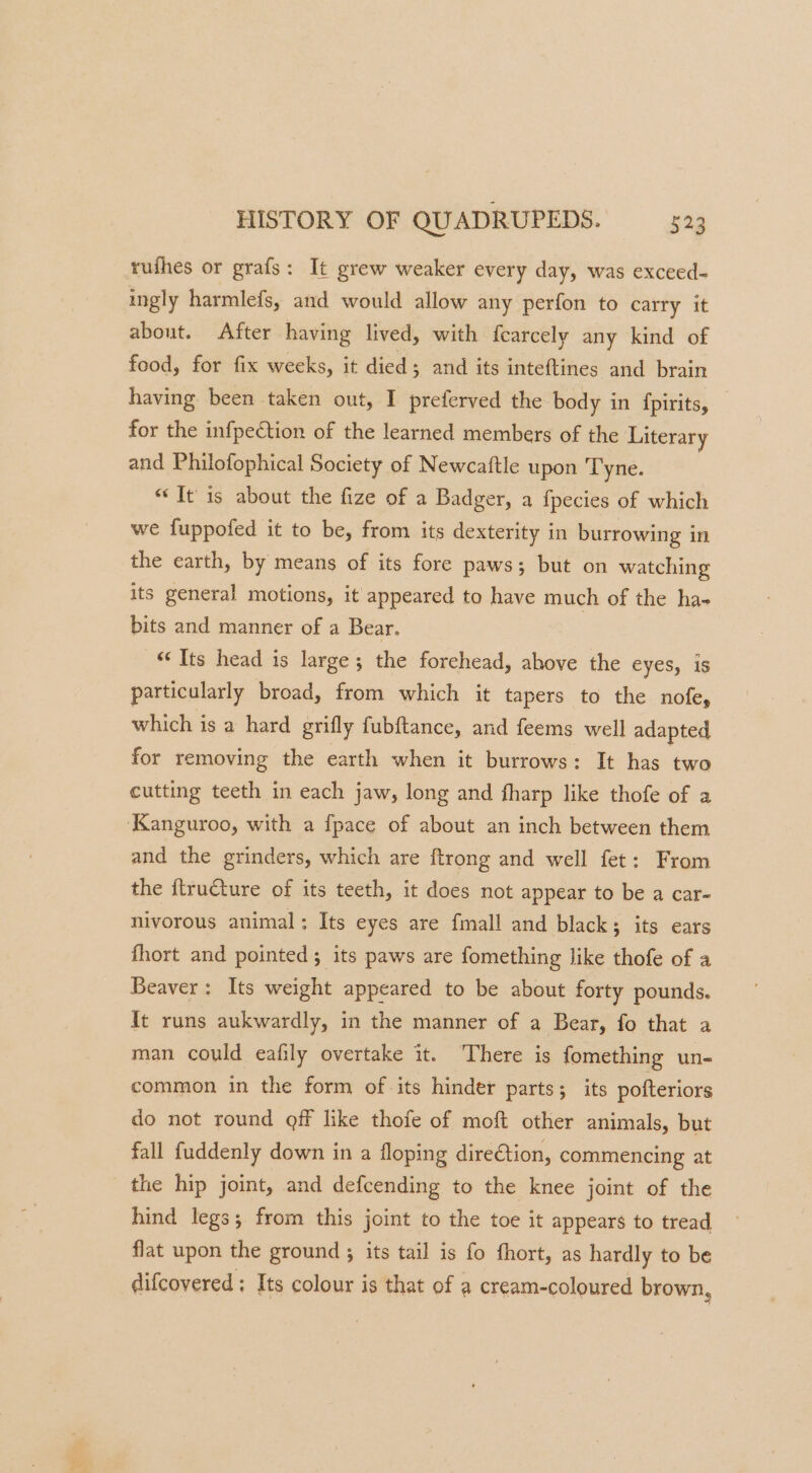 rufhes or grafs: It grew weaker every day, was exceed- ingly harmlefs, and would allow any perfon to carry it about. After having lived, with fearcely any kind of food, for fix weeks, it died; and its inteftines and brain having been taken out, I preferved the body in {pirits, for the infpection of the learned members of the Literary and Philofophical Society of Newcaftle upon Tyne. “It is about the fize of a Badger, a f{pecies of which we fuppofed it to be, from its dexterity in burrowing in the earth, by means of its fore paws; but on watching its general motions, it appeared to have much of the ha- bits and manner of a Bear. “Its head is large; the forehead, above the eyes, is particularly broad, from which it tapers to the nofe, which is a hard grifly fubftance, and feems well adapted for removing the earth when it burrows: It has two cutting teeth in each jaw, long and fharp like thofe of a ‘Kanguroo, with a {pace of about an inch between them and the grinders, which are ftrong and well fet: From the itructure of its teeth, it does not appear to be a car- nivorous animal; Its eyes are {mall and black; its ears fhort and pointed ; its paws are fomething like thofe of a Beaver: Its weight appeared to be about forty pounds. It runs aukwardly, in the manner of a Bear, fo that a man could eafily overtake it. There is fomething un- common in the form ofits hinder parts; its pofteriors do not round off like thofe of moft other animals, but fall fuddenly down in a floping direCtion, commencing at the hip joint, and defcending to the knee joint of the hind legs; from this joint to the toe it appears to tread flat upon the ground ; its tail is fo fhort, as hardly to be difcovered: Its colour is that of a cream-coloured brown,