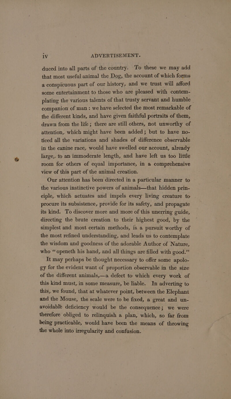 duced into all parts of the country. To these we may add that most useful animal the Dog, the account of which forms a conspicuous part of our history, and we trust will afford some entertainment to those who are pleased with contem- plating the various talents of that trusty servant and humble companion of man : we have selected the most remarkable of the different kinds, and have given faithful portraits of them, drawn from the life; there are still others, not unworthy of attention,. which might have been added; but to have no- ticed all the variations and shades of difference observable in the canine race, would have swelled our account, already large,- to am immoderate length, and have left us too little room for others of equal importance, in a comprehensive view of this part of the animal creation. Our attention has been directed in a particular manner to the various instinctive powers of animals—that hidden prin- ciple, which actuates and impels every living creature to procure its subsistence, provide for its safety, and propagate its kind. To discover more and more of this unerring guide, directing the brute creation to their highest good, by the simplest and most certain methods, is a pursuit worthy of the most refined understanding, and leads us to contemplate the wisdom and goodness of the adorable Author of Nature, who “openeth his hand, and all things are filled with good.” It may perhaps be thought necessary to offer some apolo- gy for the evident want of proportion observable in the size of the different animals,—a defect to which every work of this kind must, in some measure, be liable. In adverting to this, we found, that at whatever point, between the Elephant and the Mouse, the scale were to be fixed, a great and un- avoidable deficiency would be the consequence; we were therefore obliged to relinquish a plan, which, so far from being practicable, would have been the means of throwing the whole into irregularity and confusion.