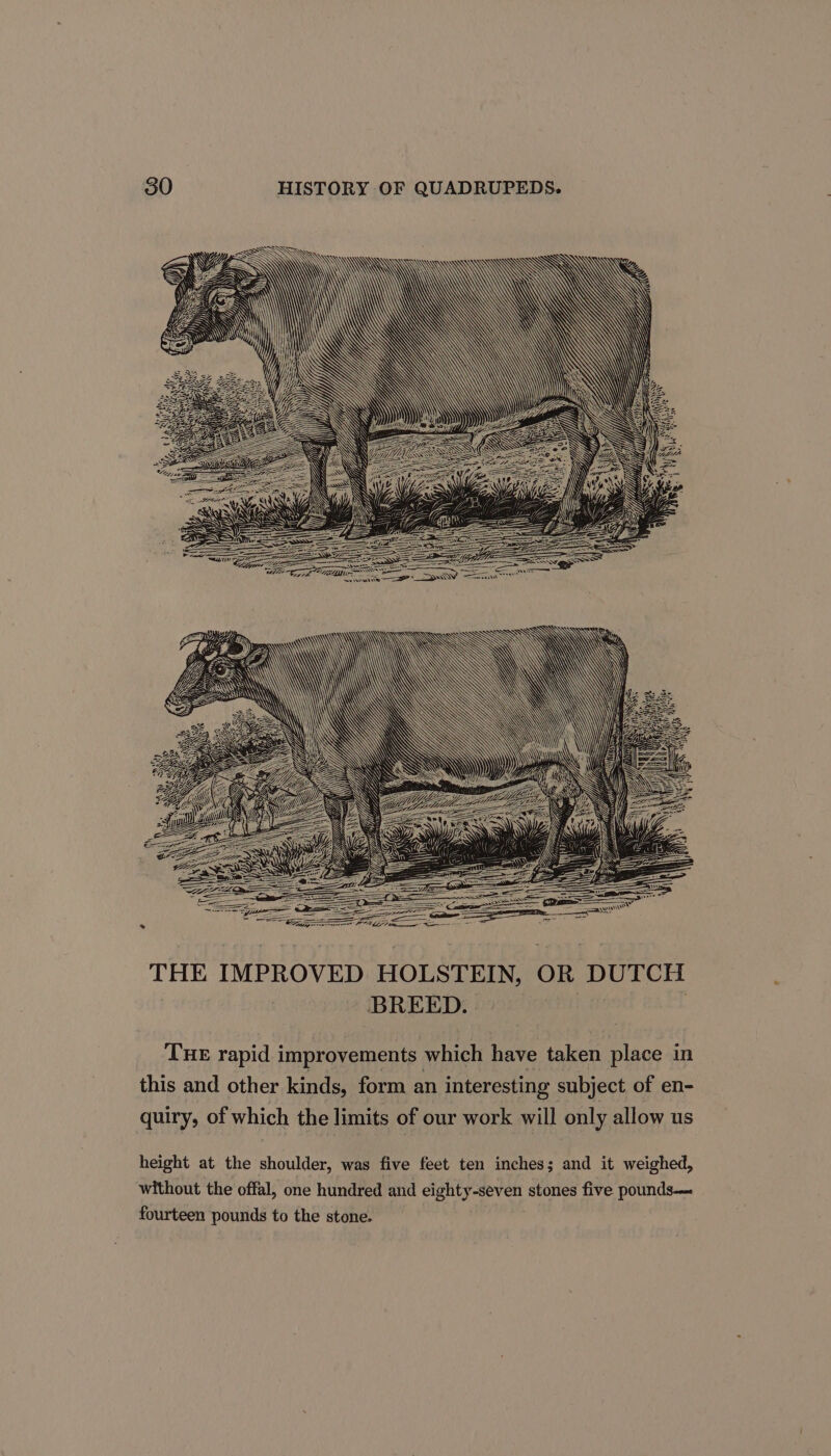 THE rapid improvements which have taken place in this and other kinds, form an interesting subject. of en- quiry, of which the limits of our work will only allow us height at the shoulder, was five feet ten inches; and it weighed, without the offal, one hundred and eighty-seven stones five pounds— fourteen pounds to the stone.