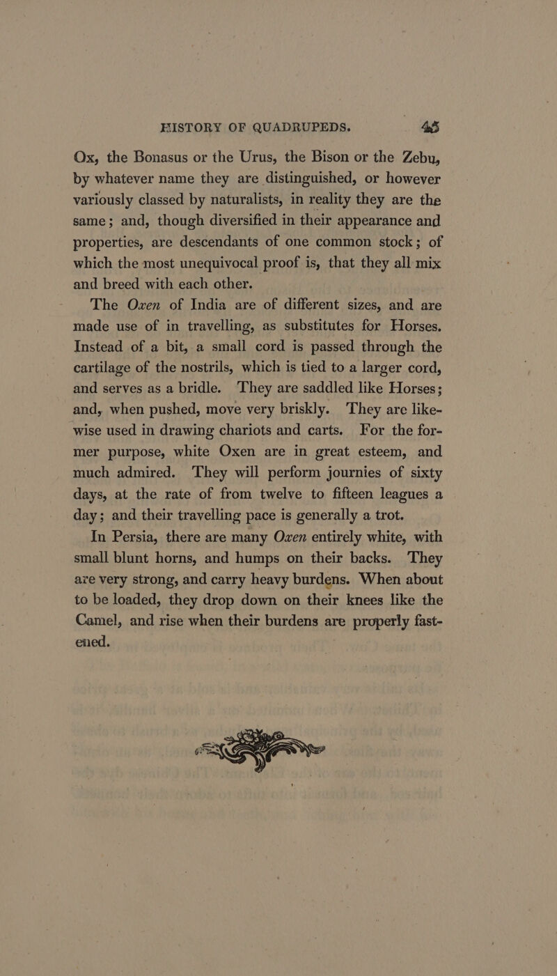 Ox, the Bonasus or the Urus, the Bison or the Zebu, by whatever name they are distinguished, or however variously classed by naturalists, in reality they are the same; and, though diversified in their appearance and properties, are descendants of one common stock; of which the most unequivocal proof is, that they all mix and breed with each other. The Ozen of India are of different sizes, and are made use of in travelling, as substitutes for Horses. Instead of a bit, a small cord is passed through the cartilage of the nostrils, which is tied to a larger cord, and serves as a bridle. ‘They are saddled like Horses; and, when pushed, move very briskly. They are like- wise used in drawing chariots and carts. For the for- mer purpose, white Oxen are in great esteem, and much admired. They will perform journies of sixty days, at the rate of from twelve to fifteen leagues a day; and their travelling pace is generally a trot. In Persia, there are many Oven entirely white, with small blunt horns, and humps on their backs. They are very strong, and carry heavy burdens. When about to be loaded, they drop down on their knees like the Camel, and rise when their burdens are properly fast- ened.