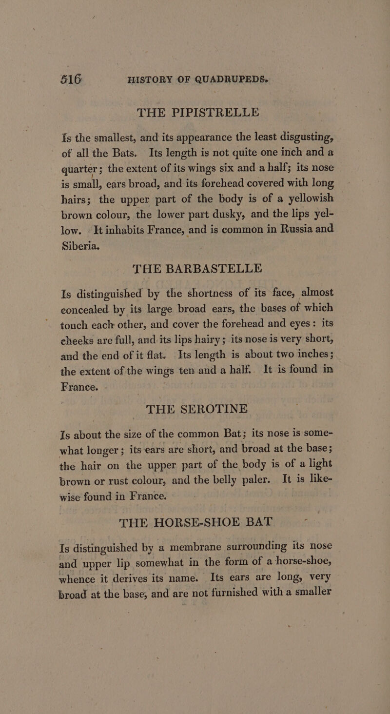 THE PIPISTRELLE Is the smallest, and its appearance the least disgusting, ~ of all the Bats. Its length is not quite one inch and a quarter; the extent of its wings six and a half; its nose is at ears broad, and its forehead covered with long hairs; the upper part of the body is of a yellowish — brown colour, the lower part dusky, and the lips yel- low. It inhabits France, and is common in Russia and. Siberia. THE BARBASTELLE Is distinguished by the shortness of its face, almost concealed. by its large broad ears, the bases ot which touch each other, and cover the forehead and eyes: its cheeks are full, and its lips hairy; its nose is very short, and the end of it flat. Its length is about two inches; the extent of the vhyek ten and a half.. It is found in France. THE SEROTINE Is about the size of the common Bat; its nose is some- what longer ; its ears are short, and broad at the base; the hair on the upper part of the body is of a light brown or rust colour, and the belly paler. It is like- wise found in France. . THE HORSE-SHOE BAT i Is distinguished by a membrane surrounding its nose and upper lip somewhat in the form of a horse-shoe, whence it derives its name. Its ears are long, very broad at the base, and are not furnished with a smaller