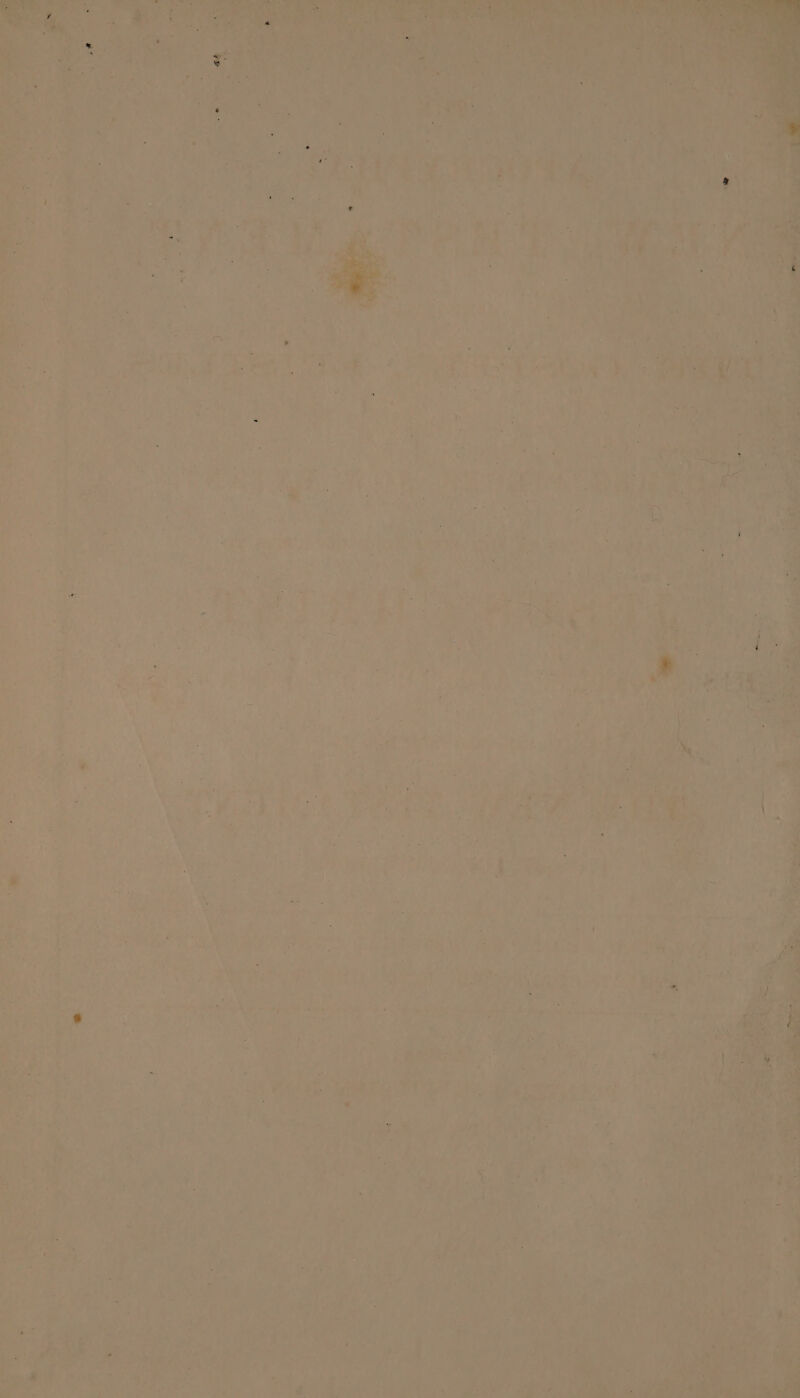 s% Se aes! i ak ee 1 Mais So, ; ae - “ i A Ae agli ea 4 ‘hated’ ts Gece ee a SS ut A ns hace ae reed ‘7; i ak eee : Pe y t 2 '