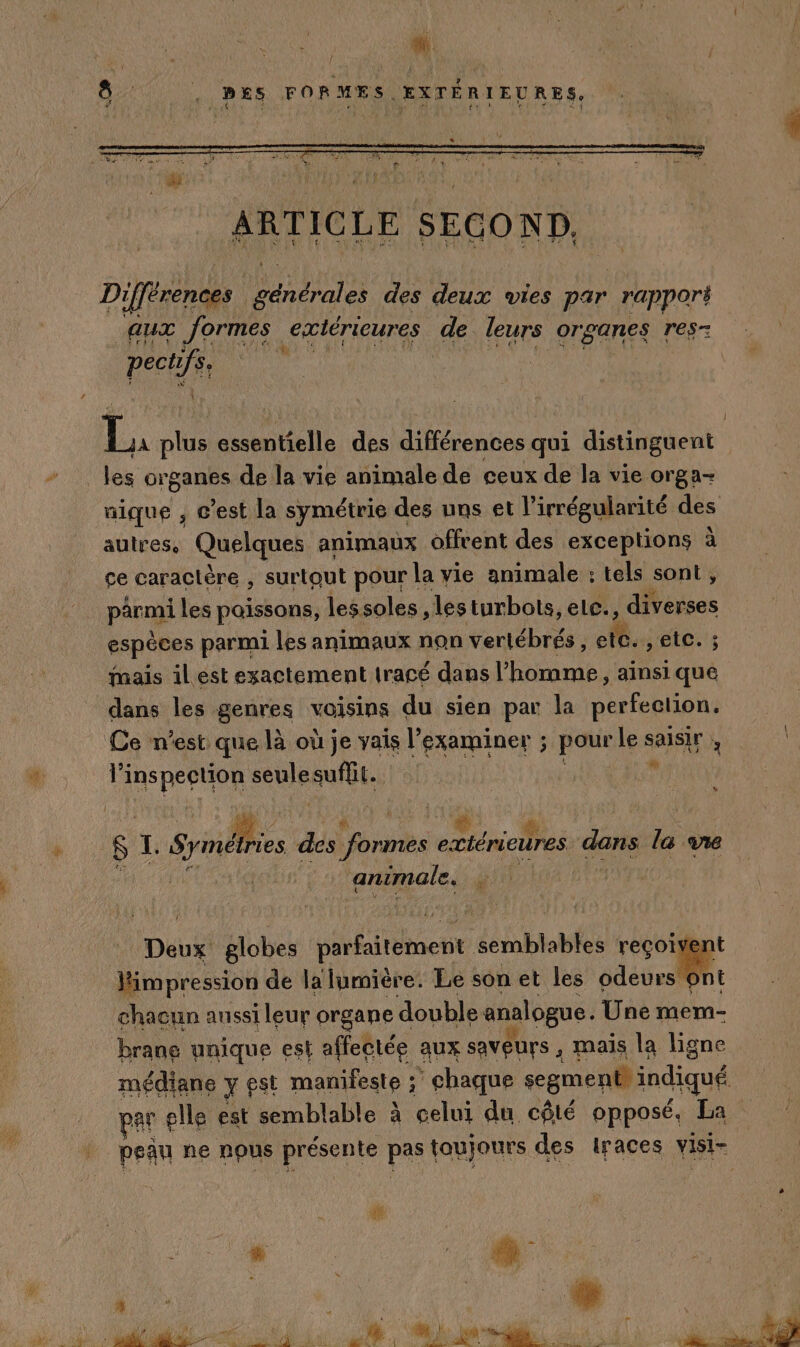 Ua we. [ 6. . PES FORMES. EXTÉRIEURES. Di ifférences res des deux vies par rapporé aux Jormes exiérieures de ur QrERTIE res pectr Je L. plus essentielle des différences qui distinguent | les organes de la vie animale de ceux de la vie orga- nique , c’est la symétrie des uns et l’irrégularité des autres, Quelques animaux offrent des exceptions à çe caractère , surtout pour la vie animale : tels sont, parmi les poissons, lessoles, lesturbots, elc., alégses espèces parmi les animaux non vertébrés, ete. , etc. ; ais il est exactement iracé dans l’homme , ainsi que dans les genres voisins du sien par la perfection. Ce n'est que là où je vais l’examiner ; pour le saisir à l AREAS ue suffit. Li] animale. és Deux globes aÉitétett Labs reçoiven impression de la lumière. Le son et les odeurs ( ni chacun aussi leur organe double analogue. Une mem- brane unique est affectée aux Saveurs , mais la ligne médiane y est manifeste ; chaque segment) indiqué par elle est semblable à celui du côté opposé, La peau ne nous présente pas toujours des races visi-